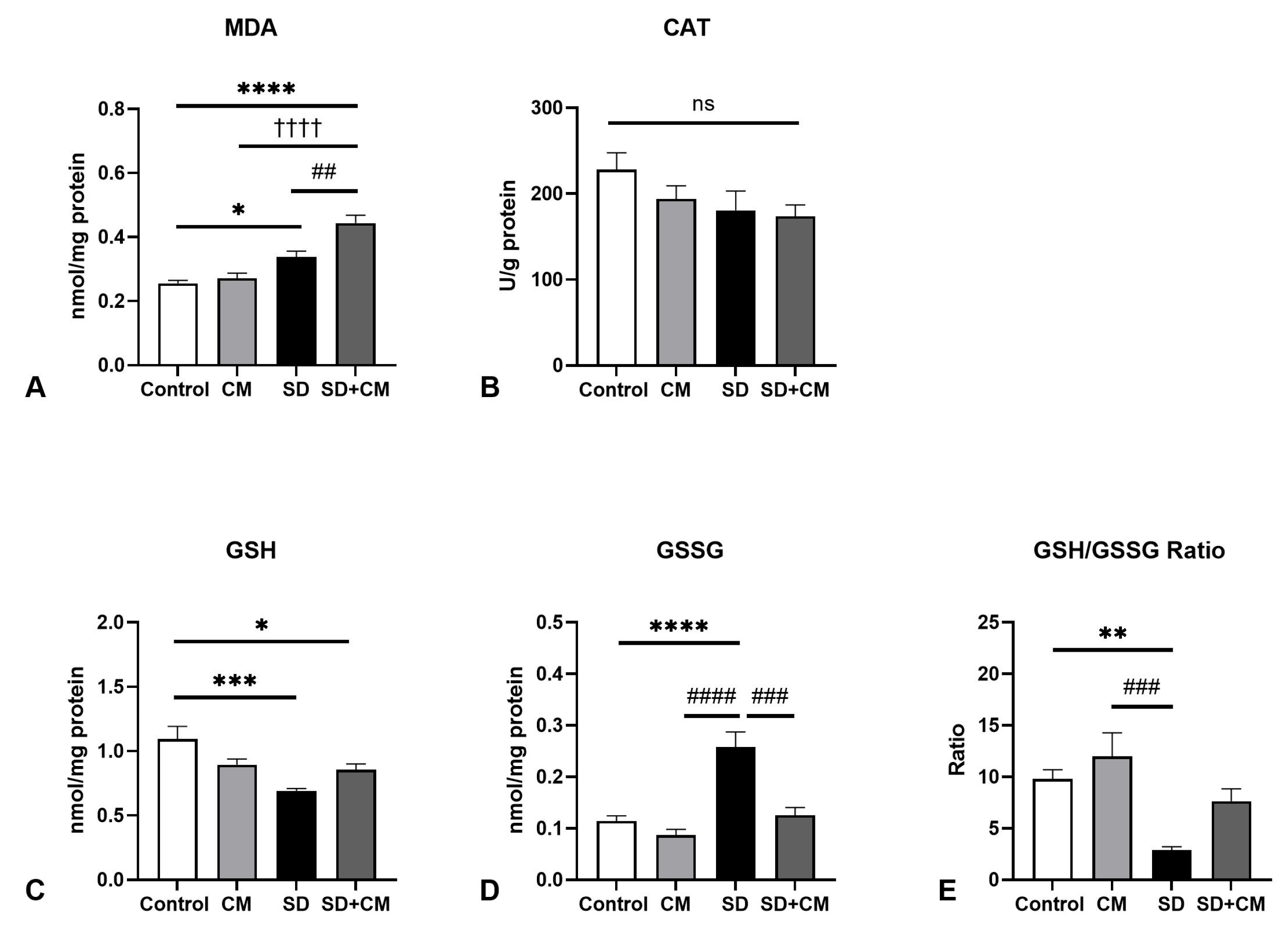 Biology 14 01341 g009