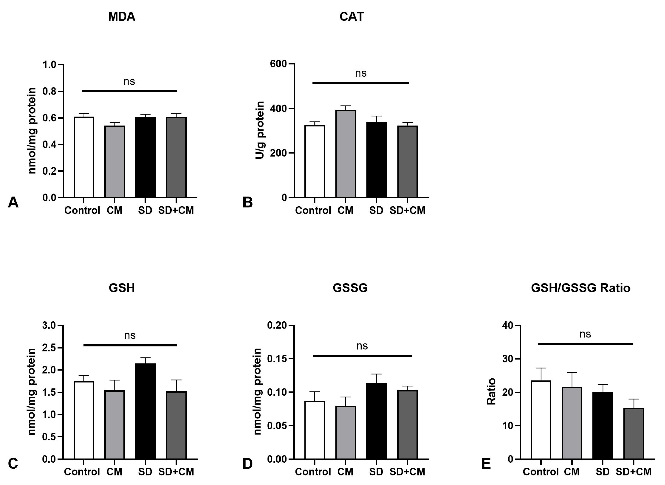 Biology 14 01341 g011