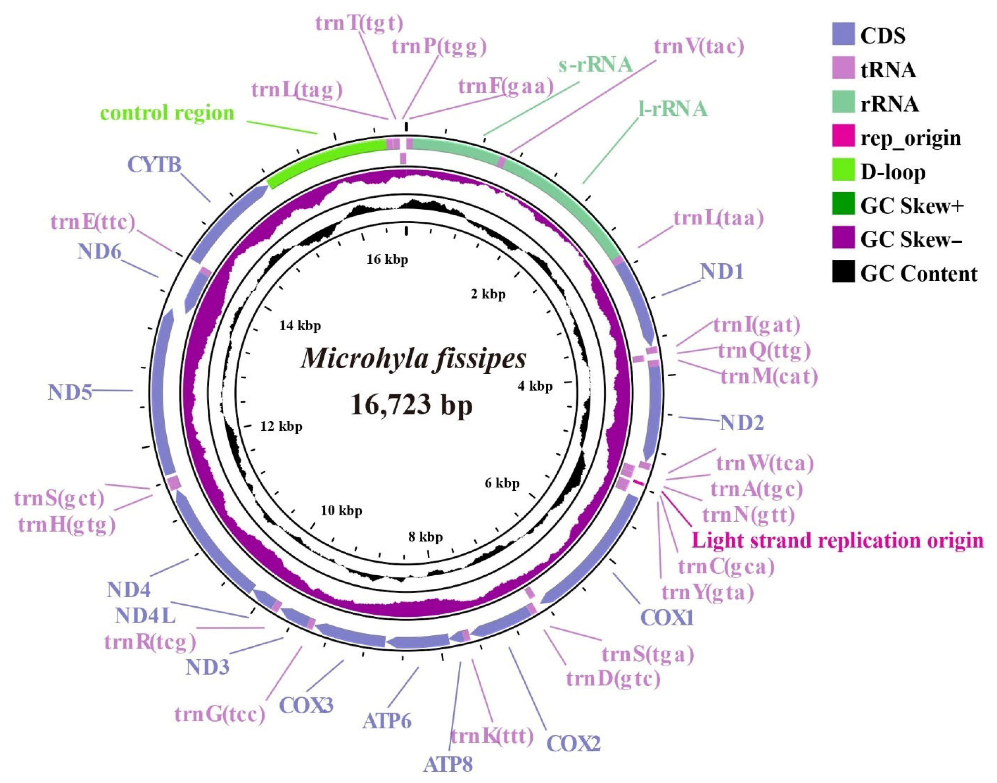 Biology 14 01342 g001 Biology 14 01342 g001