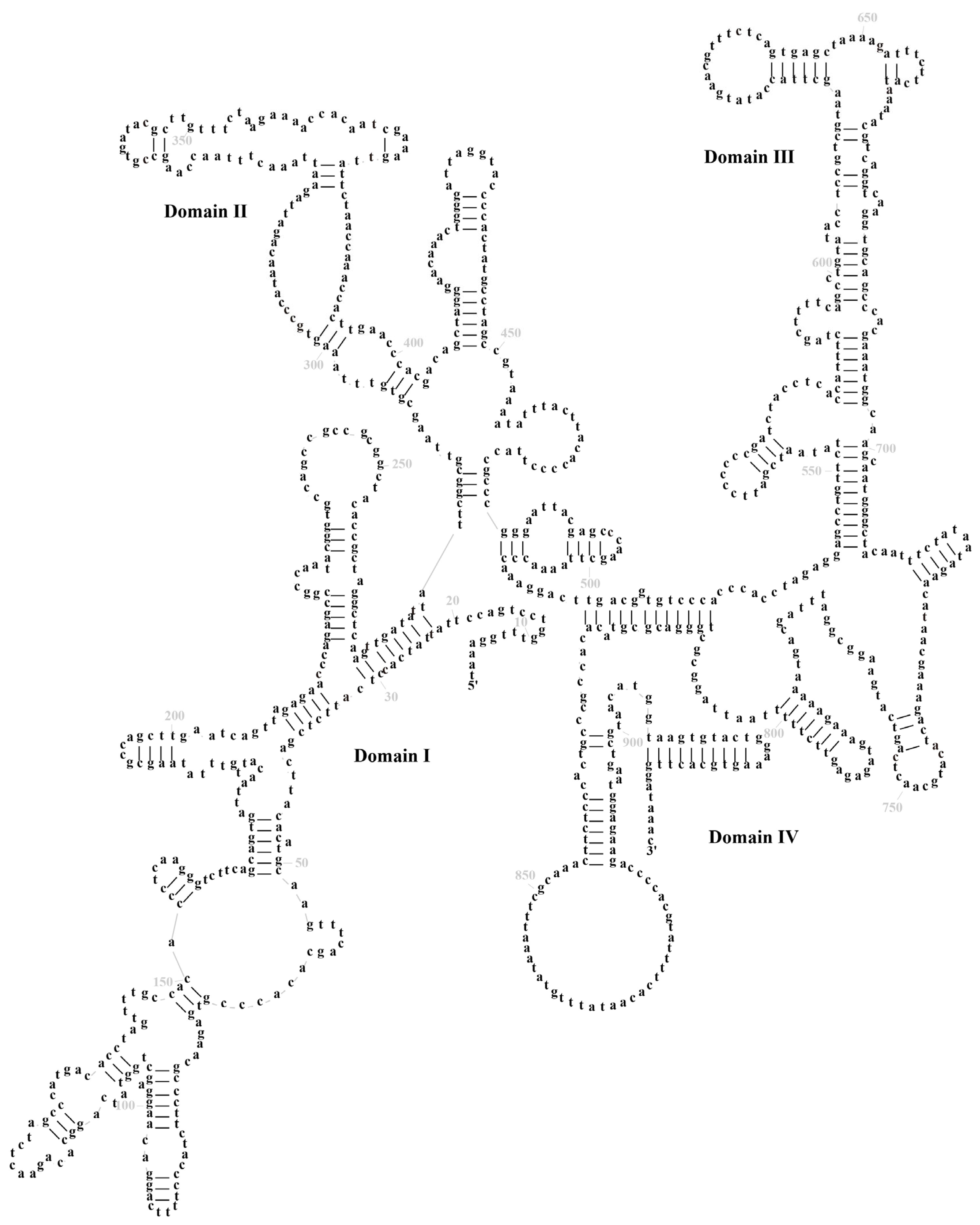 Biology 14 01342 g004 Biology 14 01342 g004