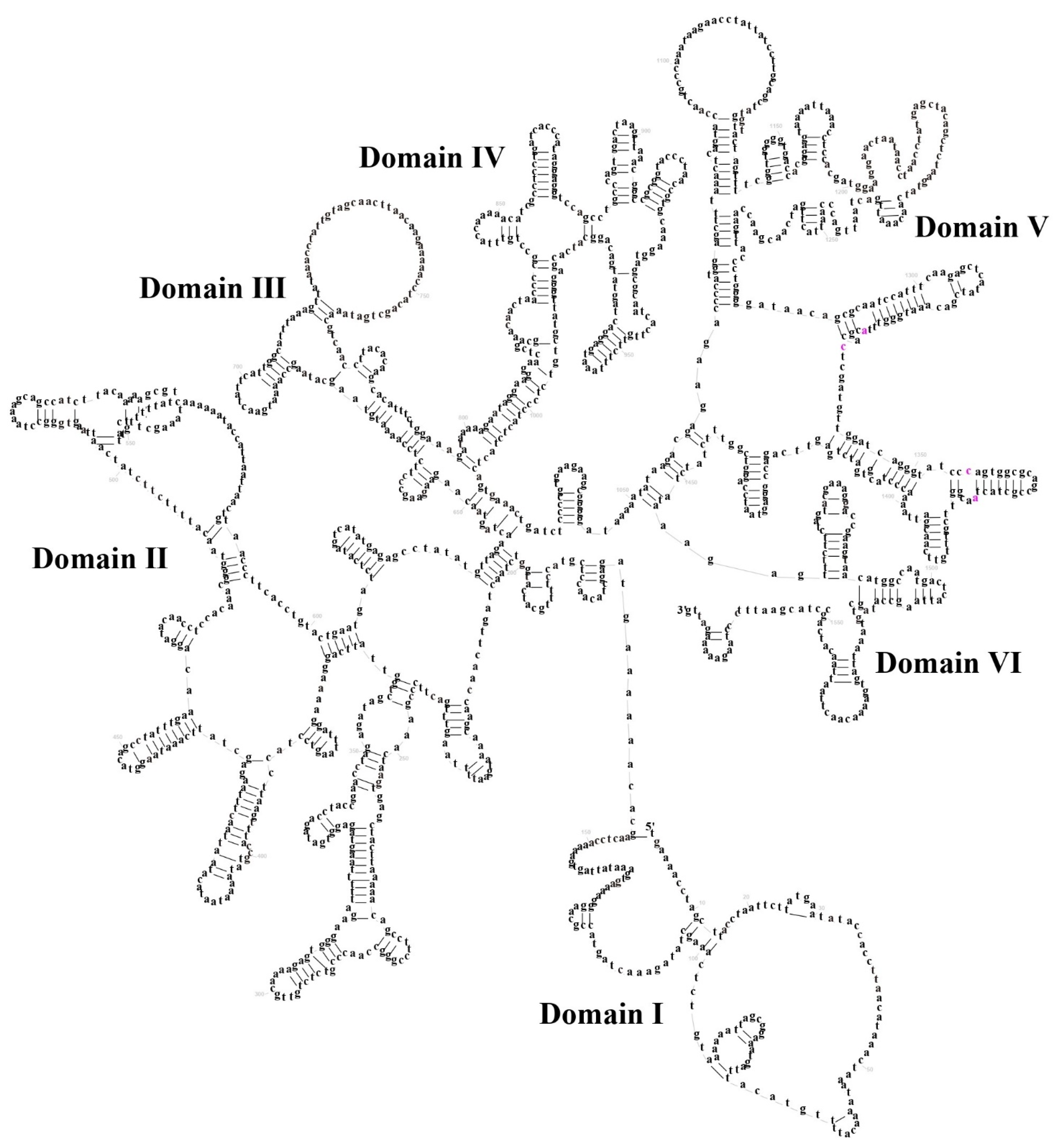 Biology 14 01342 g005 Biology 14 01342 g005
