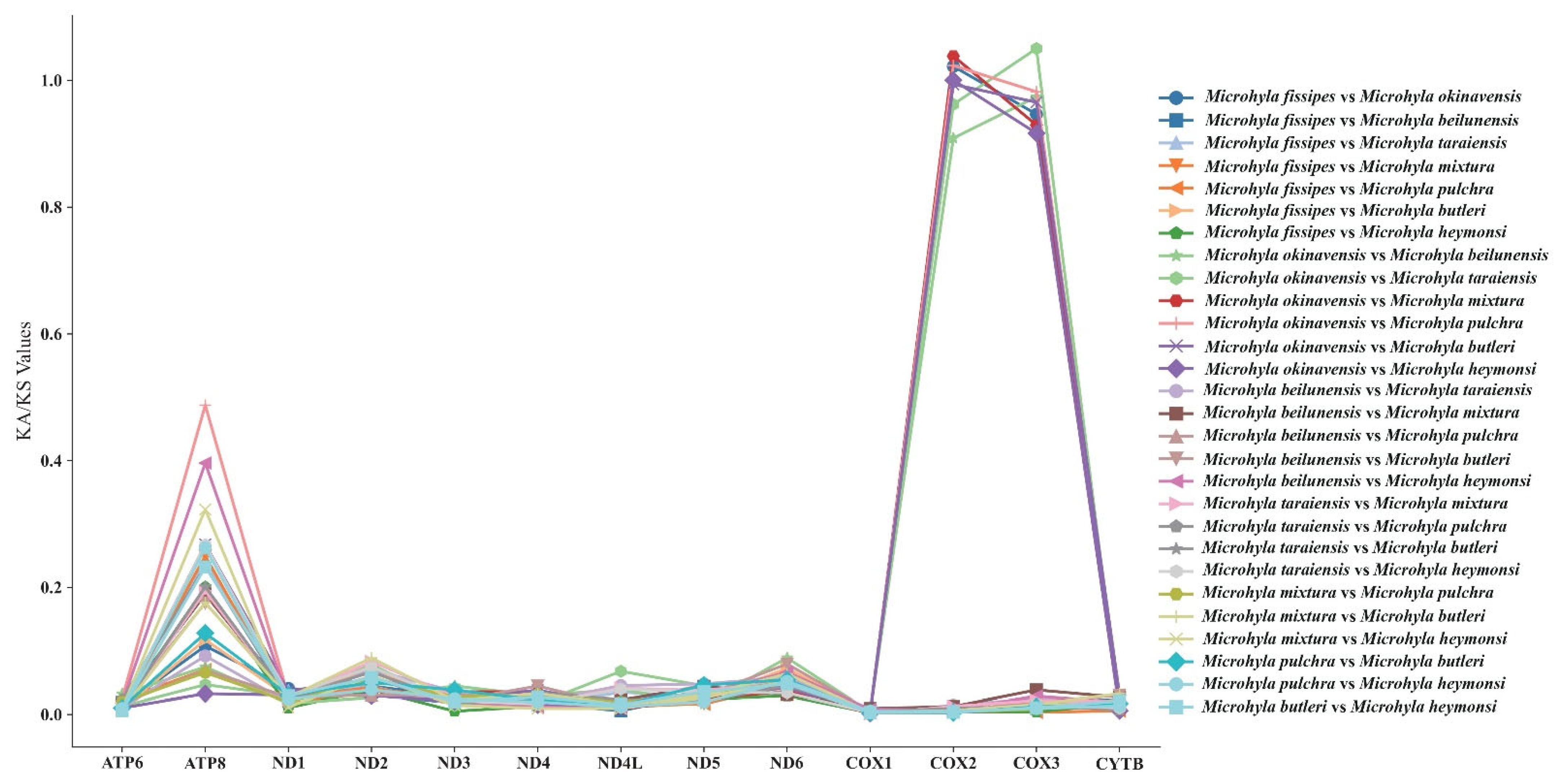 Biology 14 01342 g006 Biology 14 01342 g006