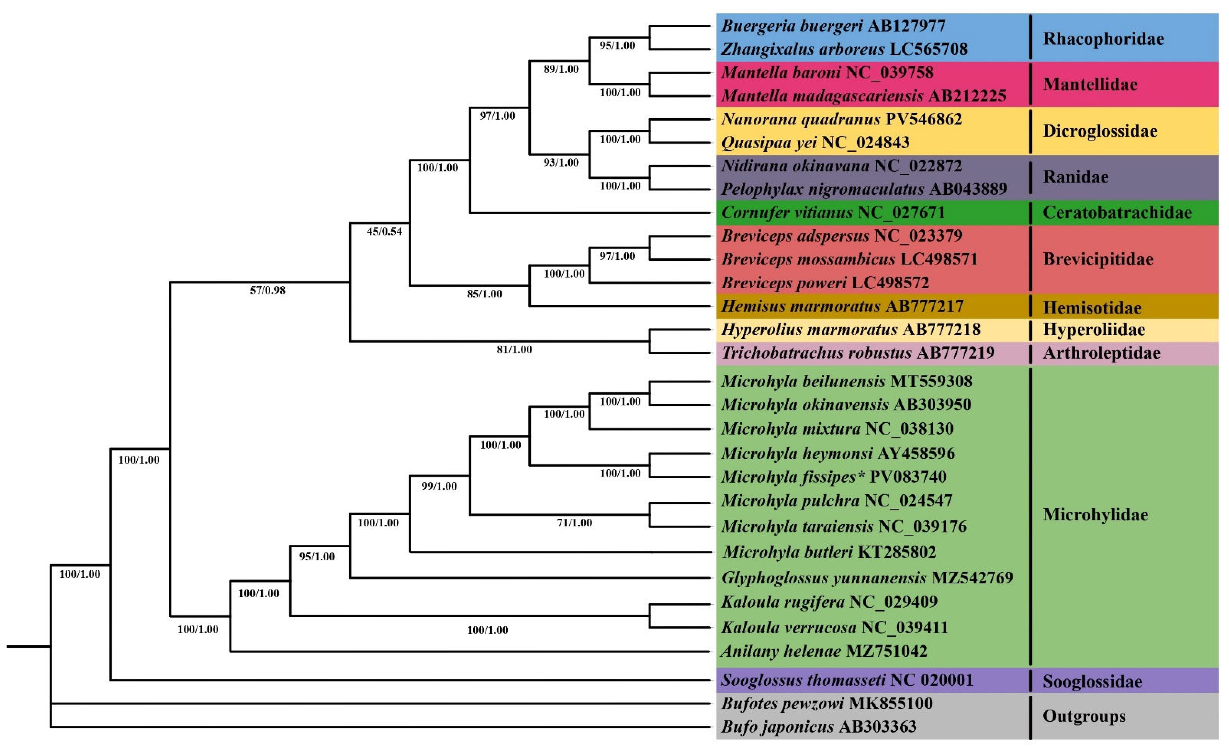 Biology 14 01342 g007 Biology 14 01342 g007