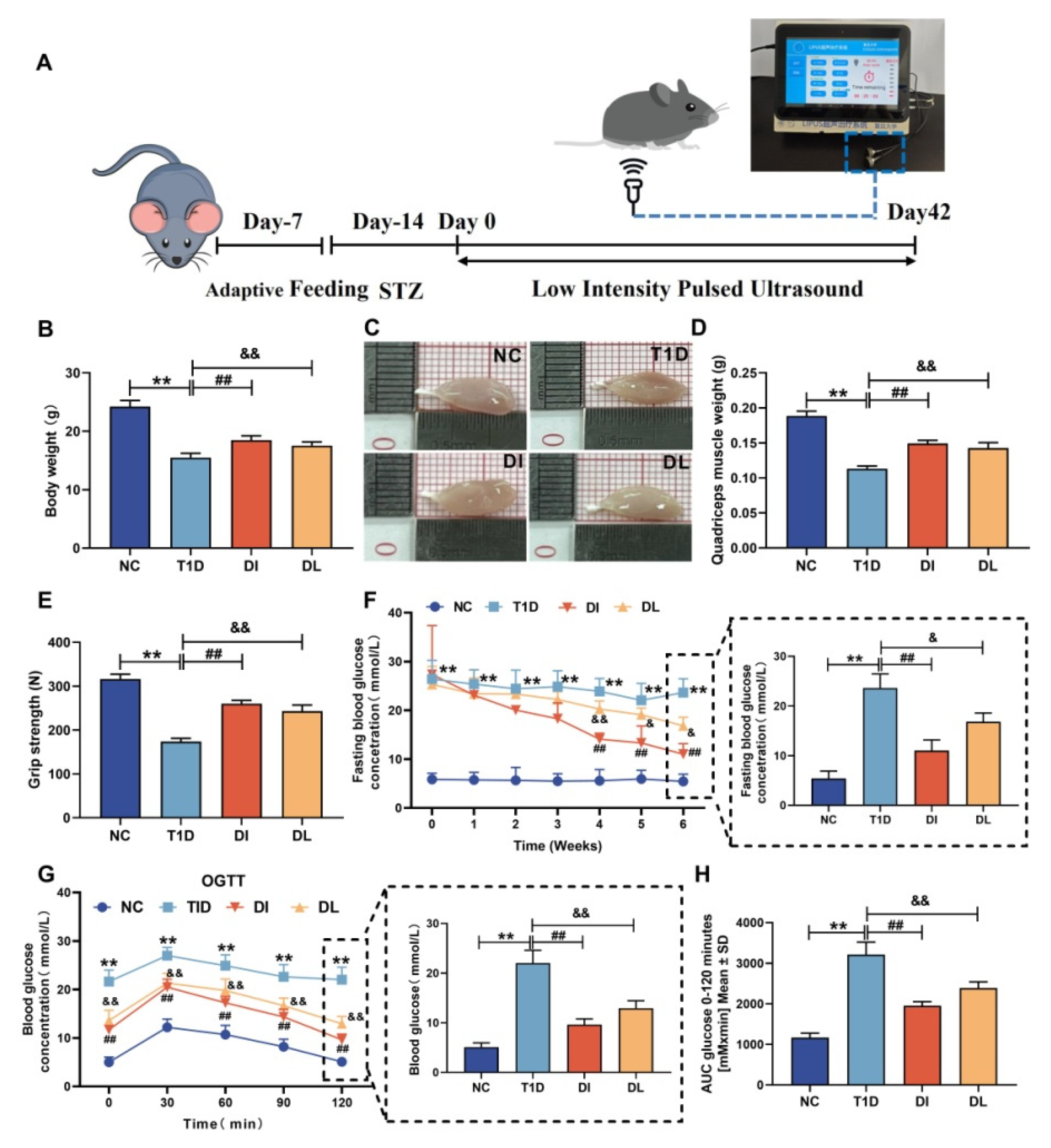 Biology 14 01343 g001