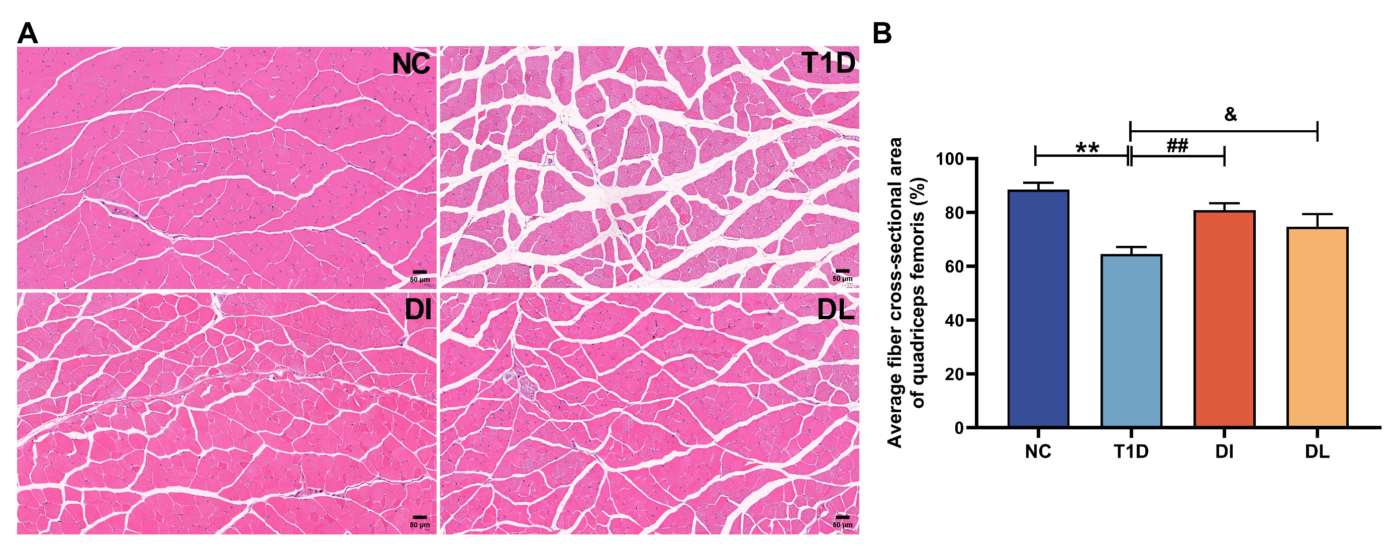 Biology 14 01343 g003