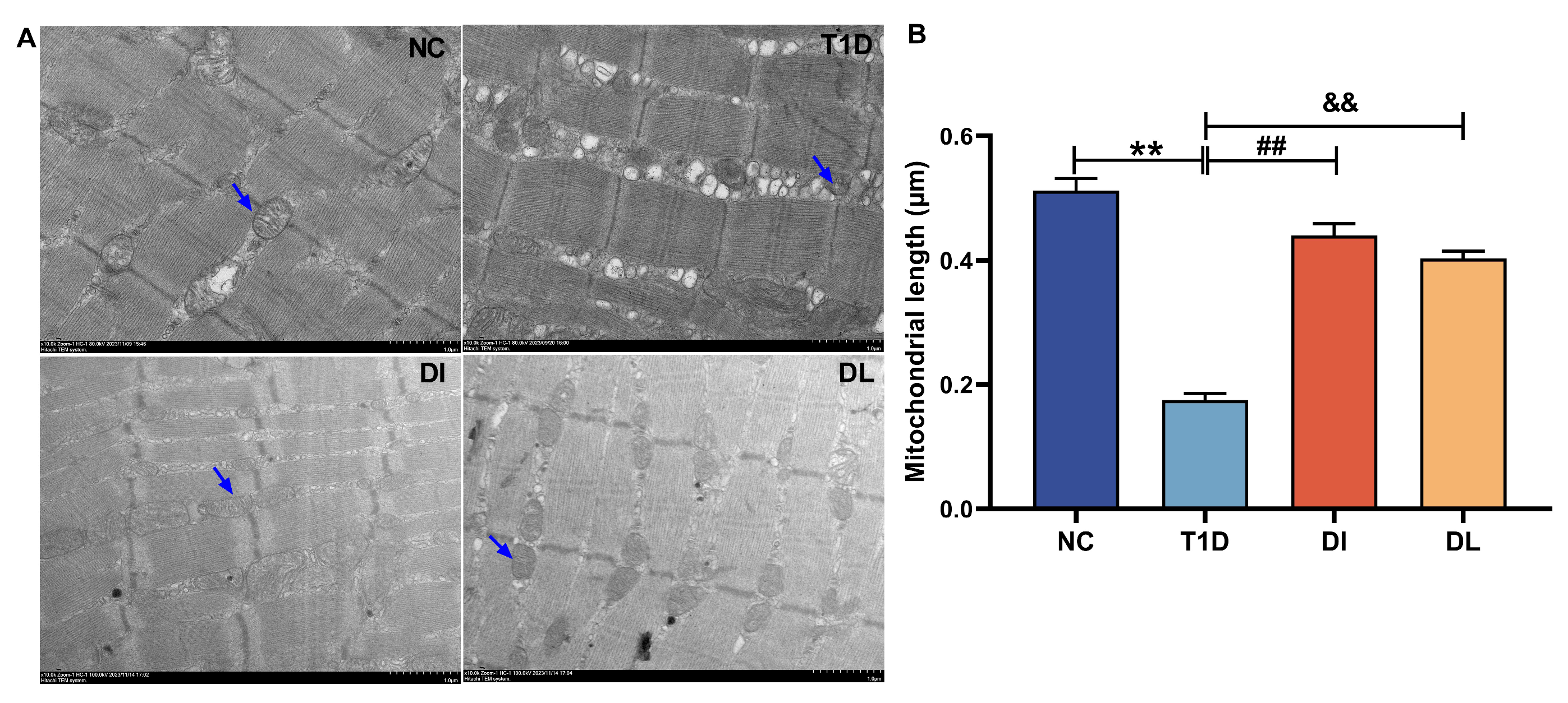 Biology 14 01343 g004