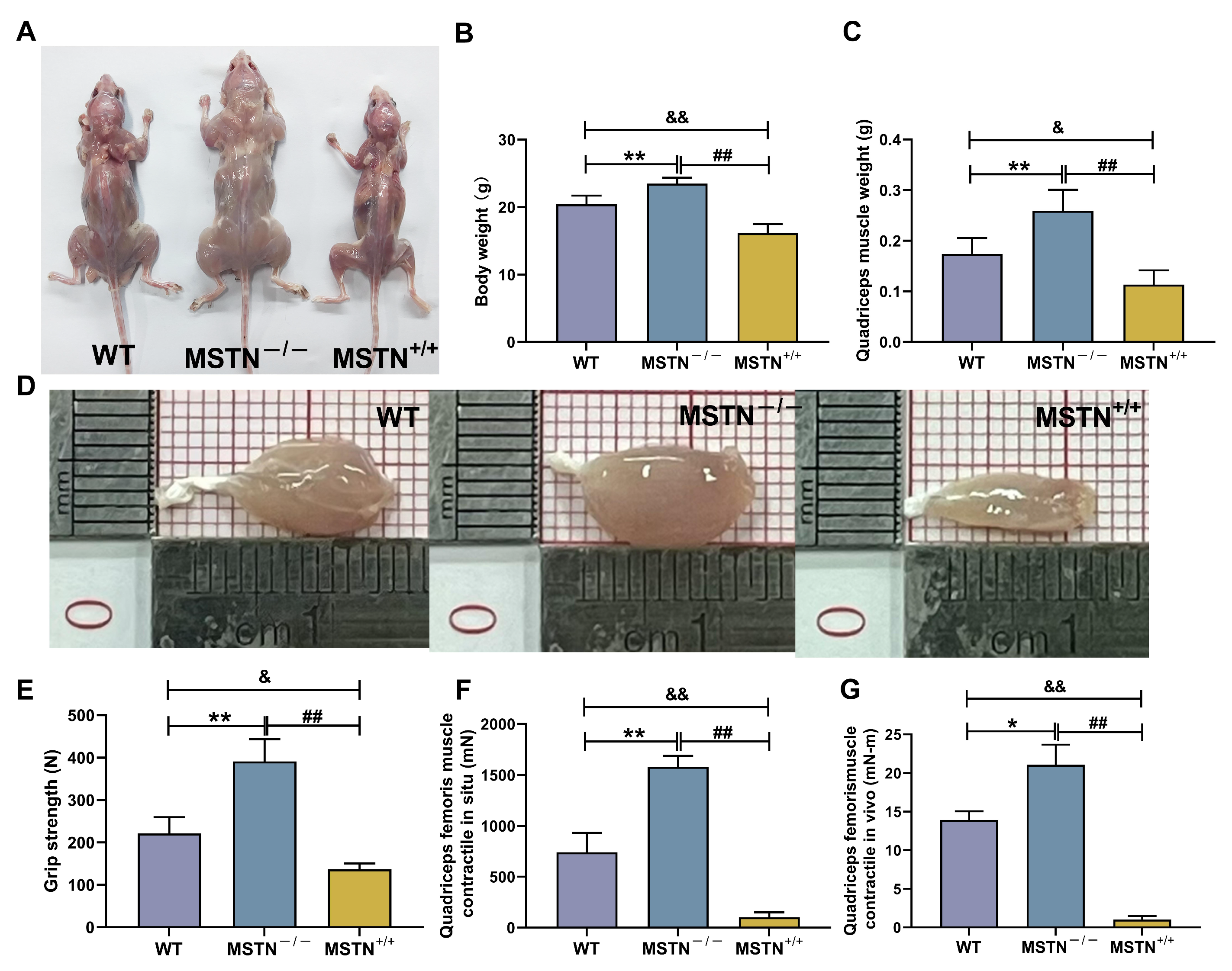 Biology 14 01343 g007