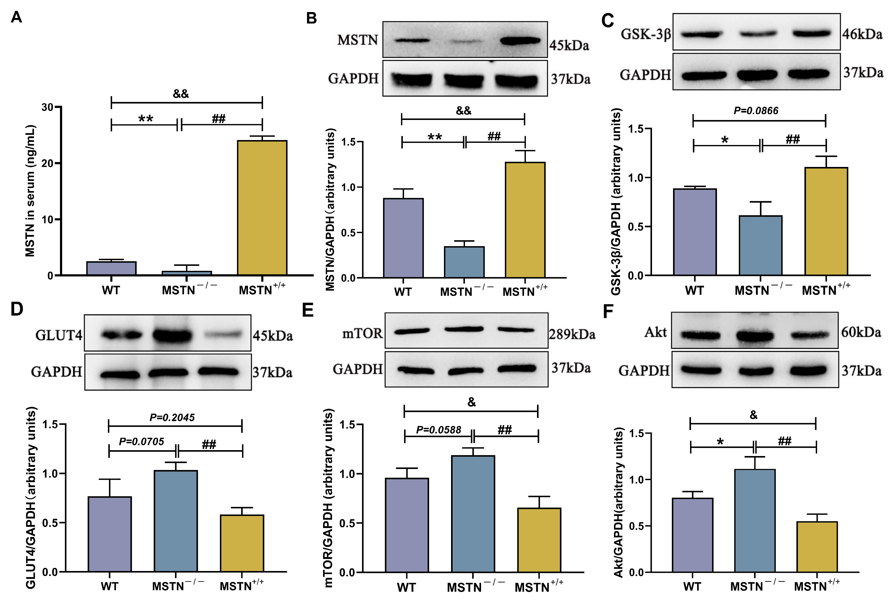 Biology 14 01343 g008