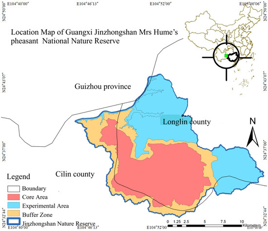 TH様 ETONIC Quasar Burgundy Gray – Etonic