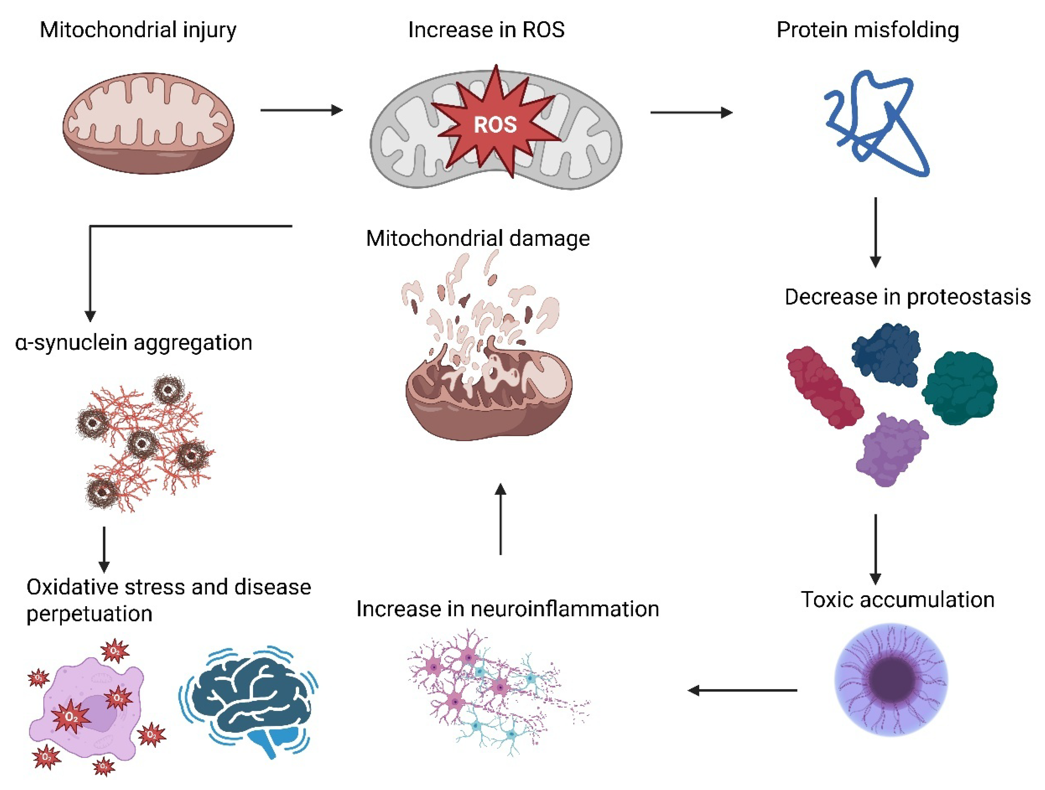 Biology 14 01349 g001 Biology 14 01349 g001
