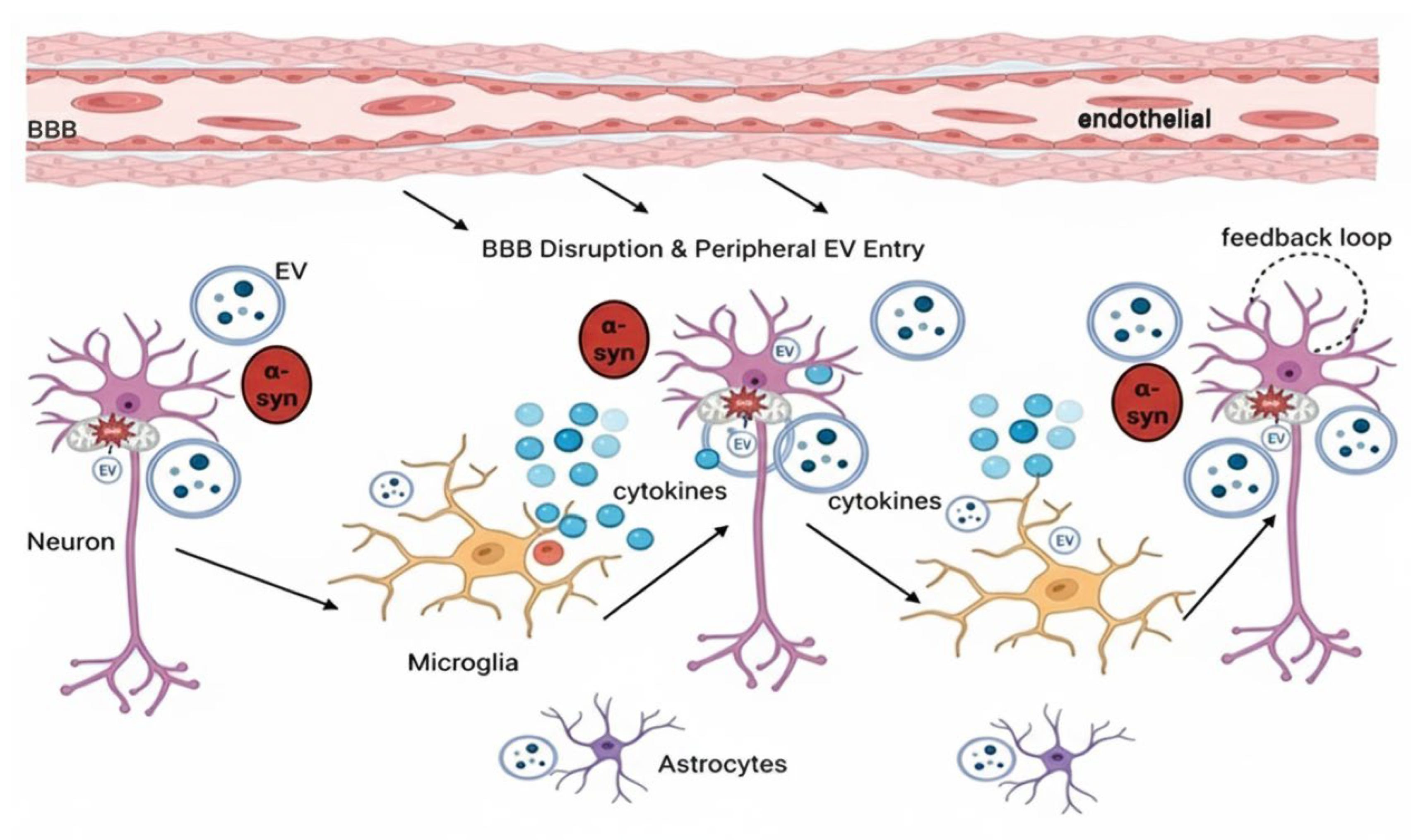 Biology 14 01349 g002 Biology 14 01349 g002