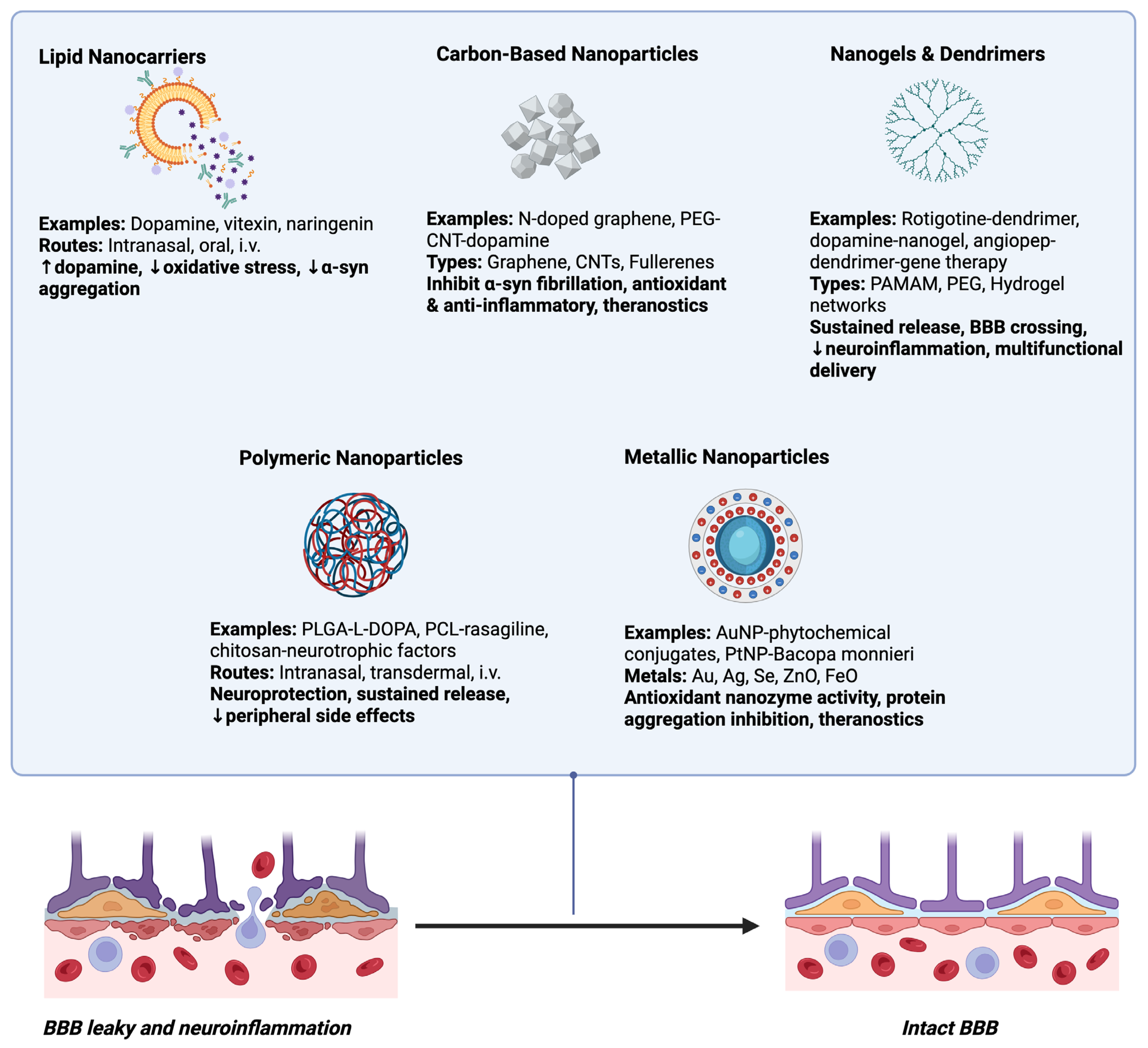 Biology 14 01349 g003 Biology 14 01349 g003