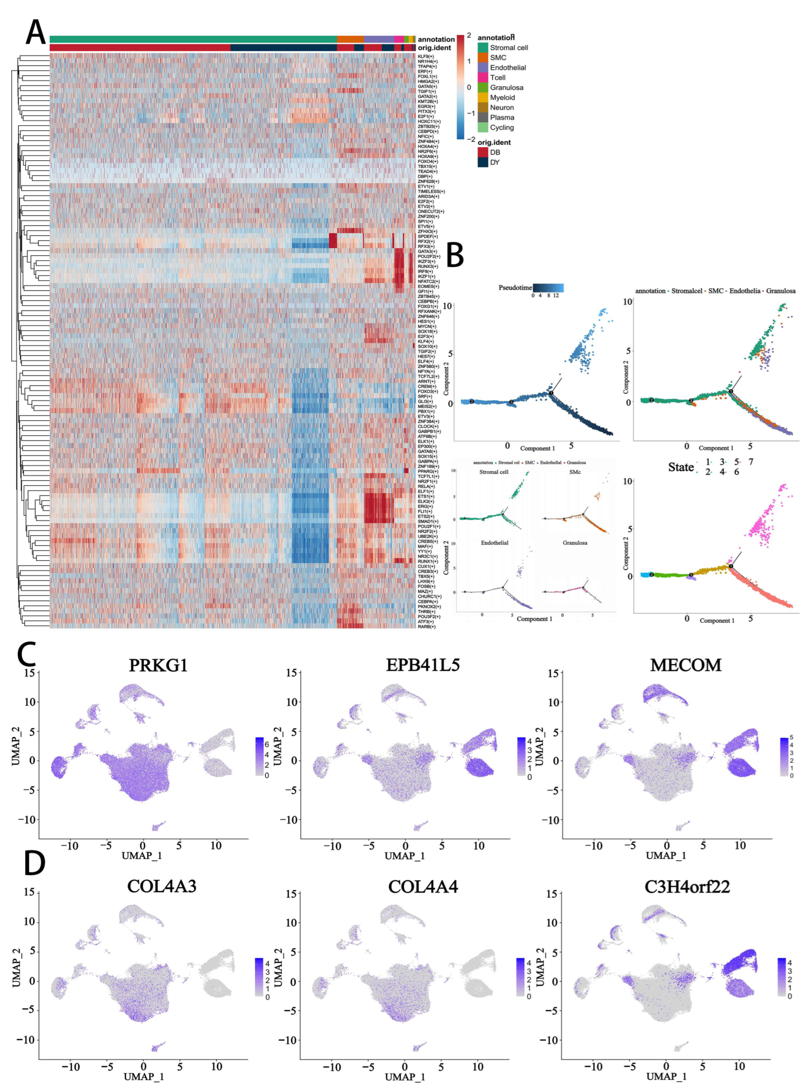 Biology 14 01351 g007