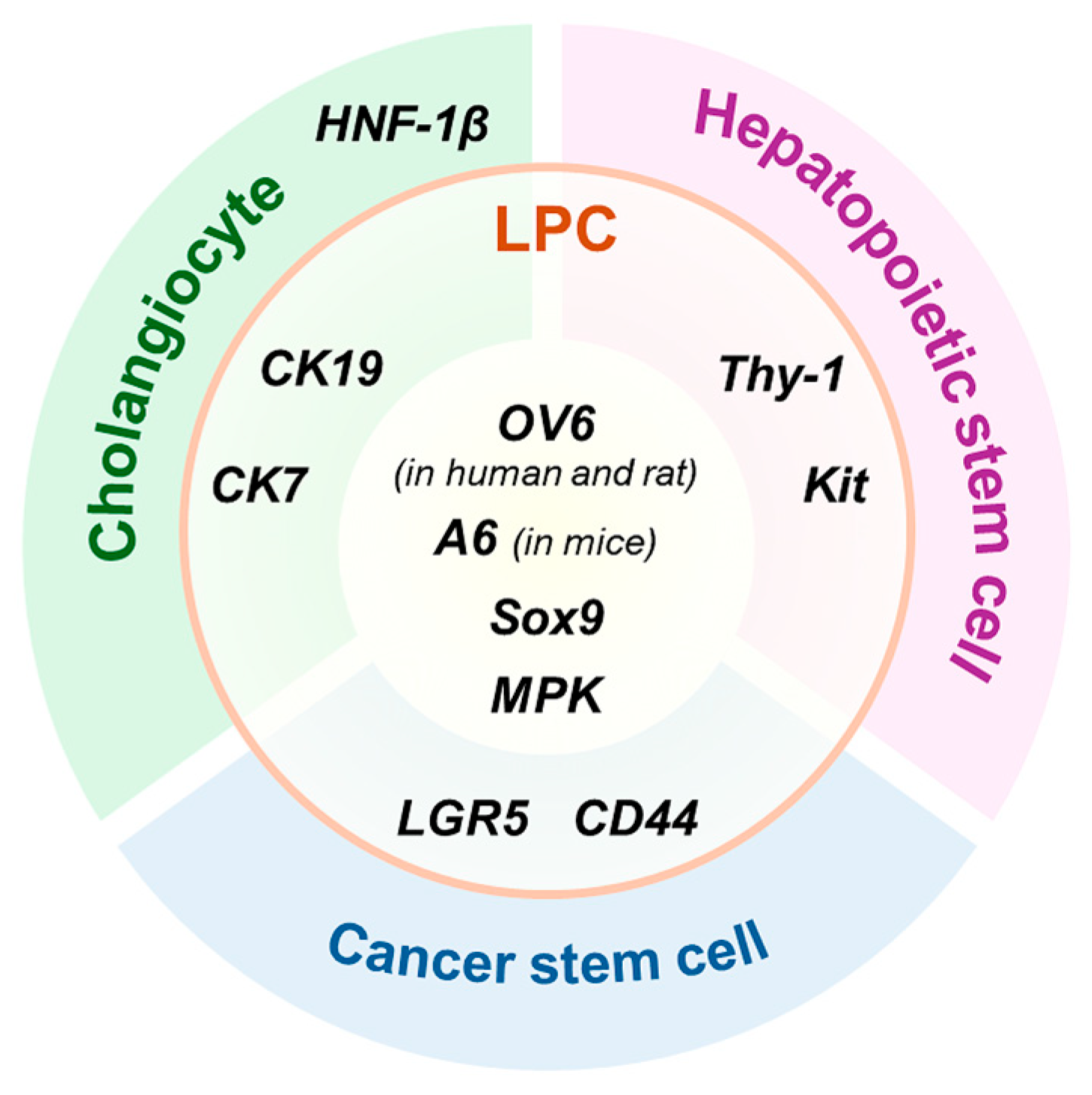 Biology 14 01361 g001 Biology 14 01361 g001