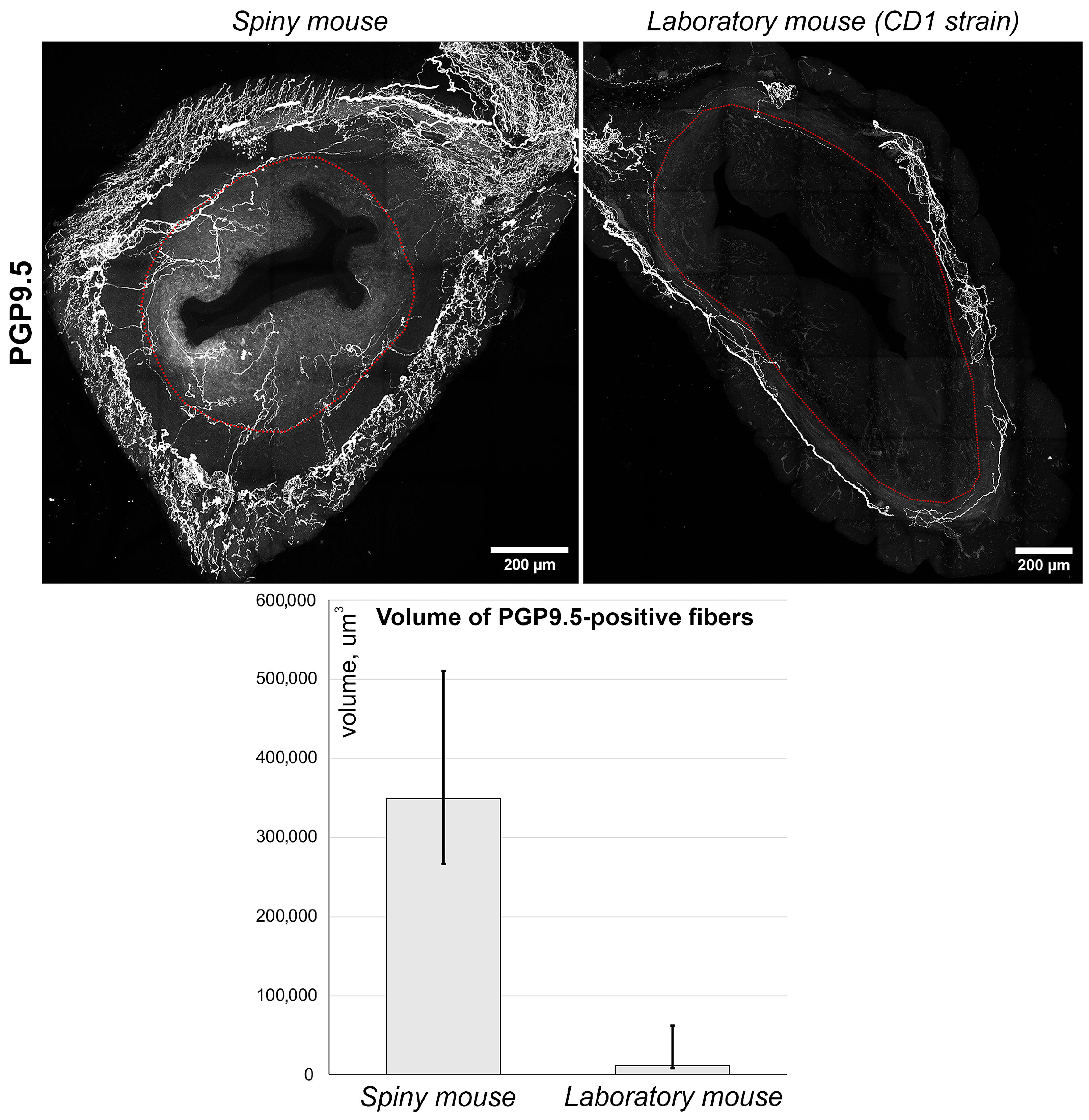 Biology 14 01365 g005