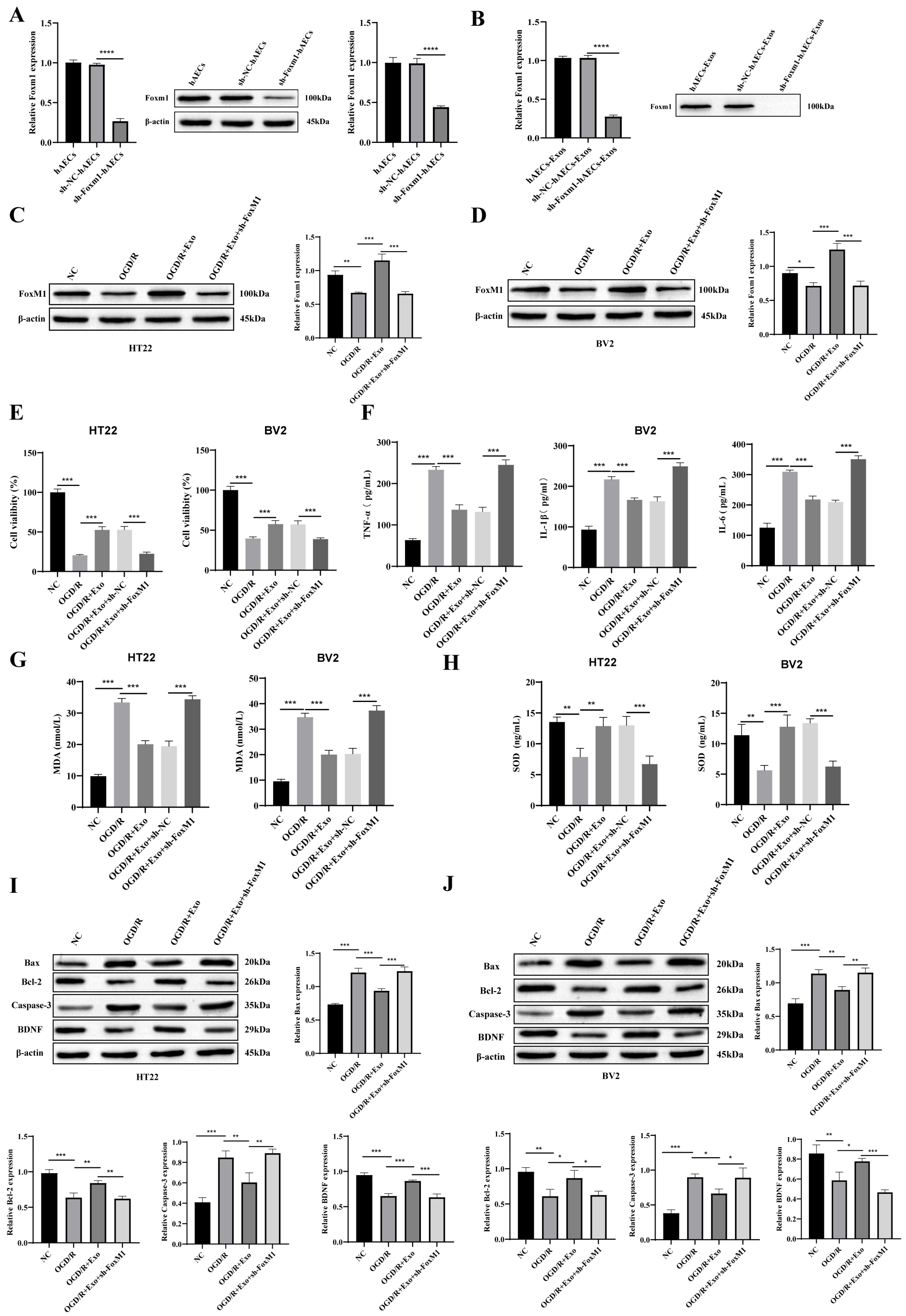 Biology 14 01368 g005