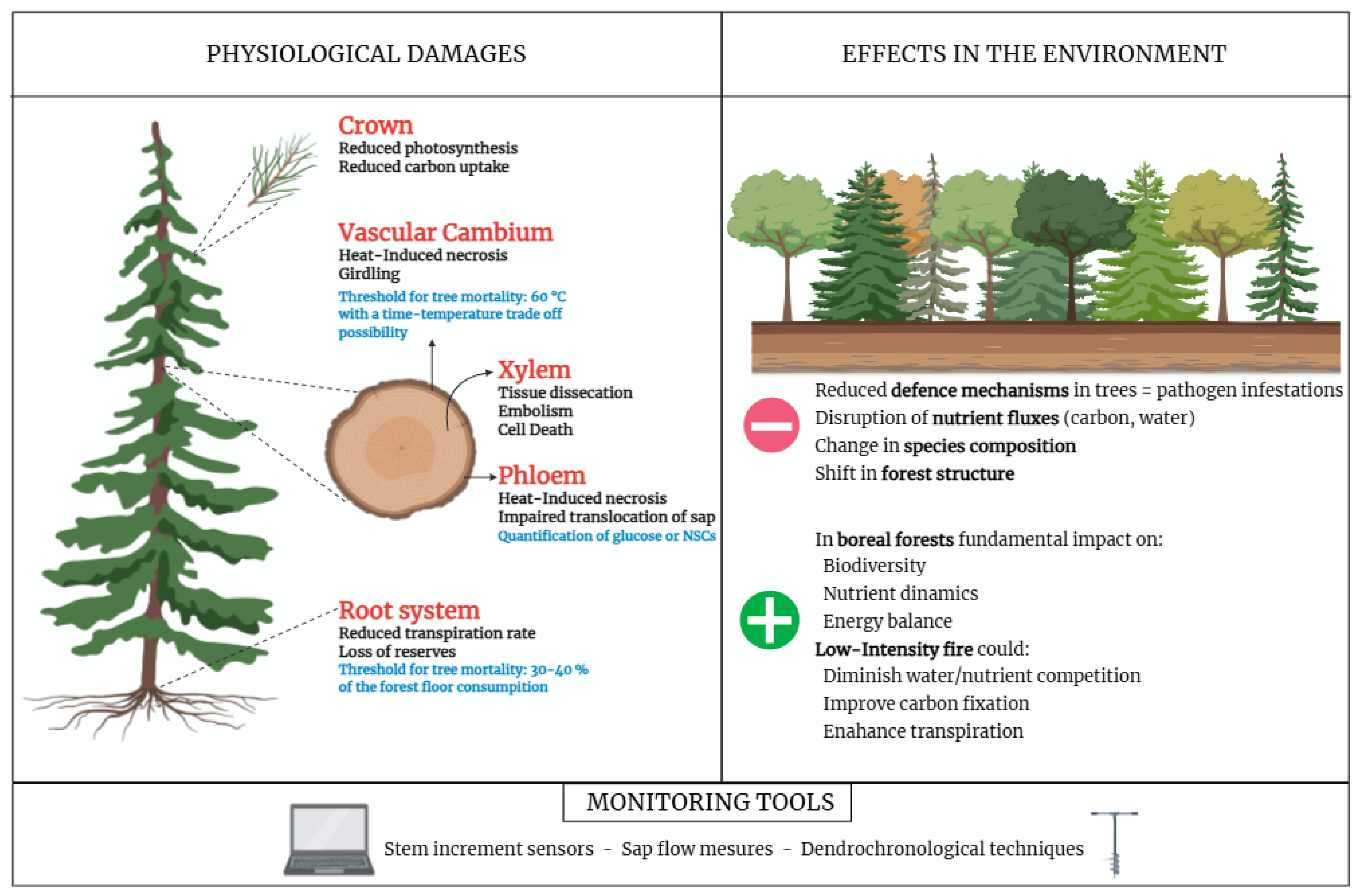 Biology 14 01372 g003 Biology 14 01372 g003