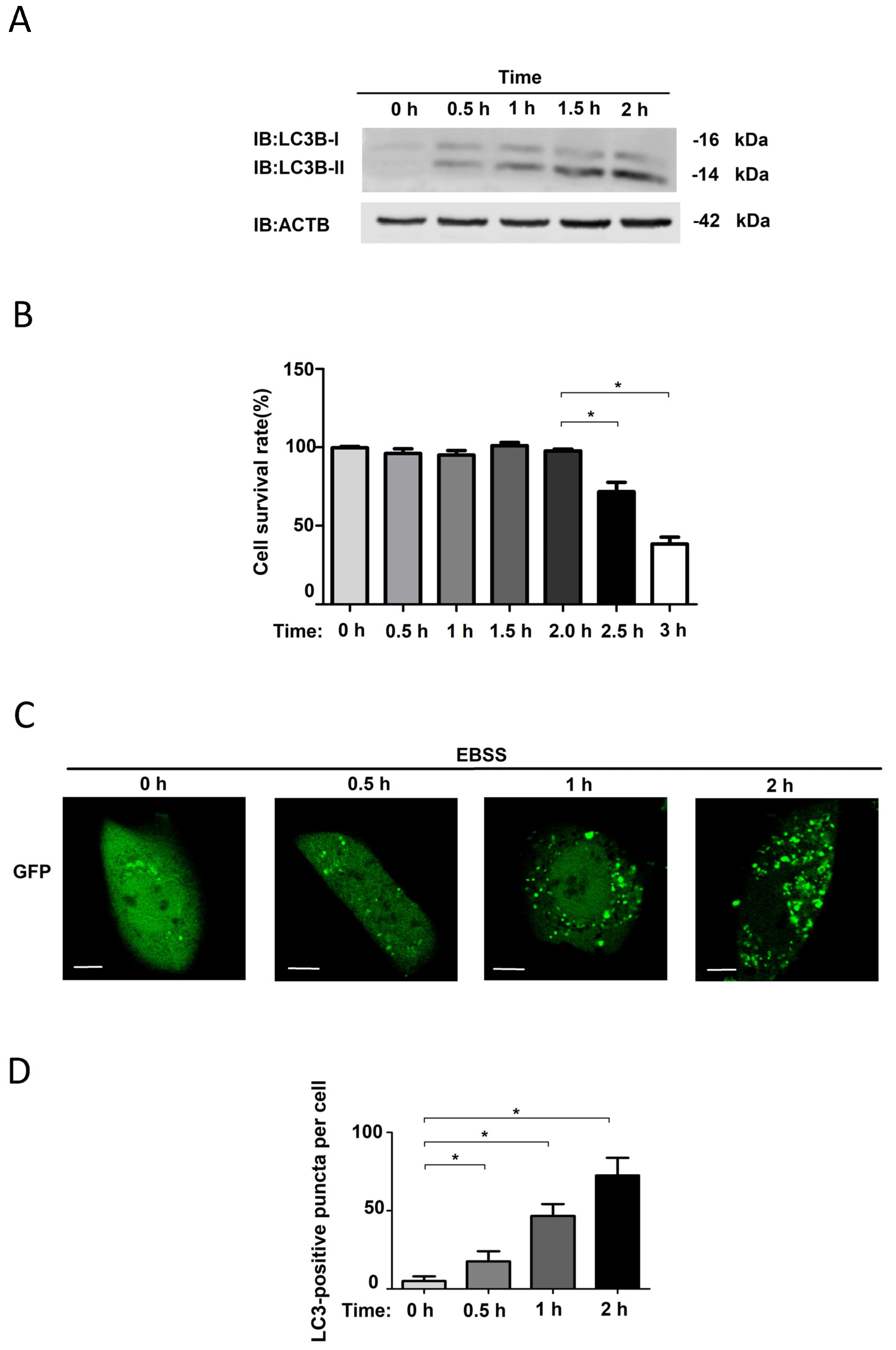Biology 14 01373 g001 Biology 14 01373 g001
