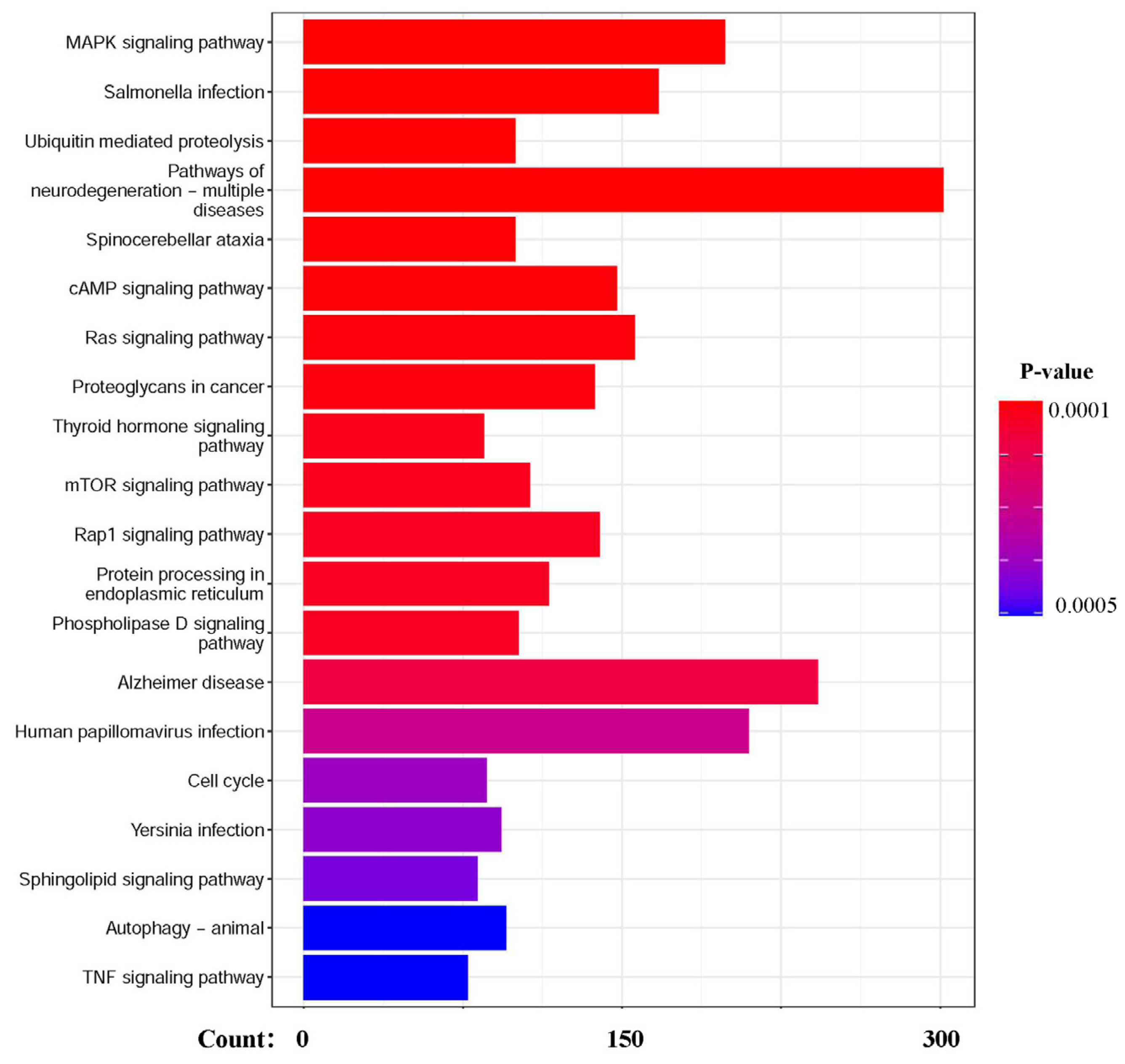 Biology 14 01373 g005 Biology 14 01373 g005
