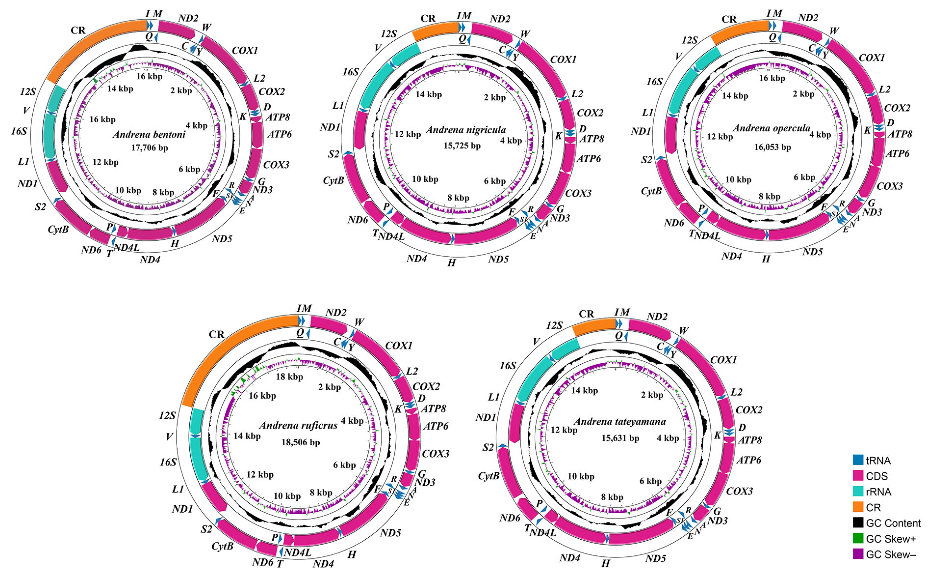 Biology 14 01374 g001 Biology 14 01374 g001