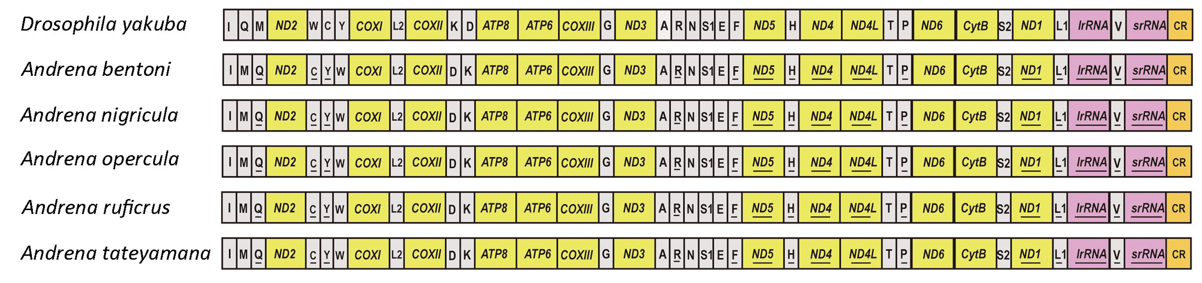 Biology 14 01374 g004 Biology 14 01374 g004