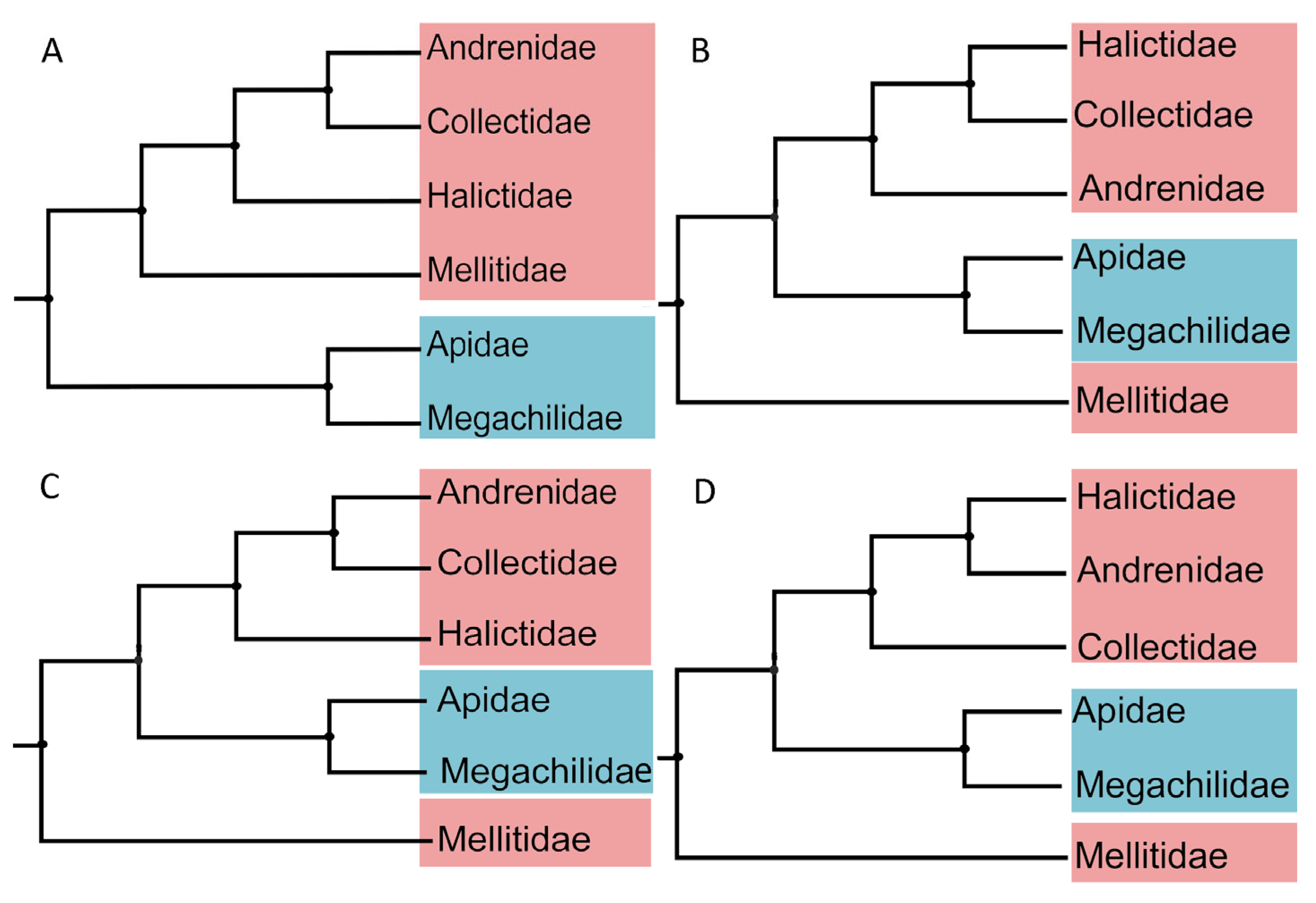 Biology 14 01374 g005 Biology 14 01374 g005