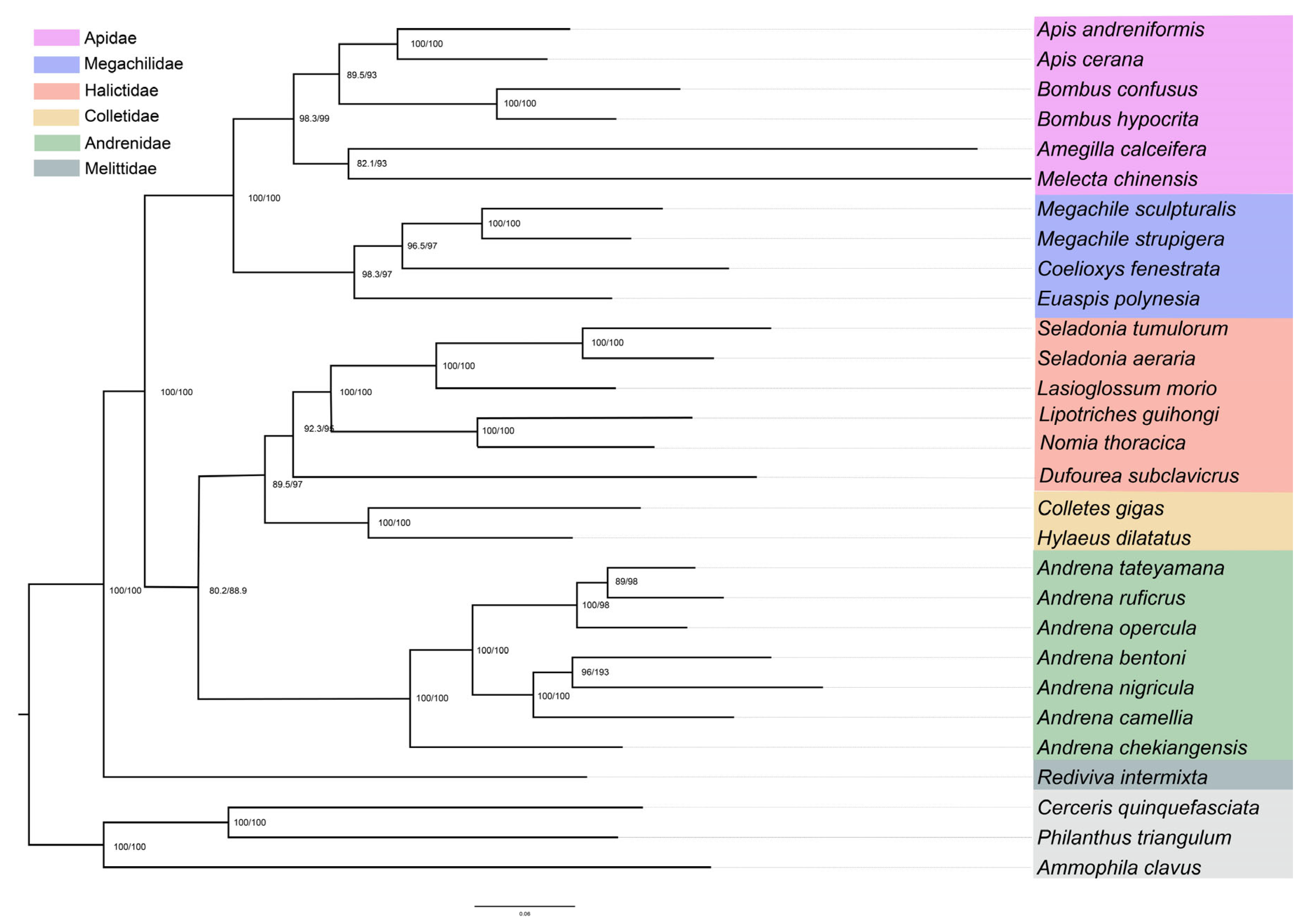 Biology 14 01374 g006 Biology 14 01374 g006