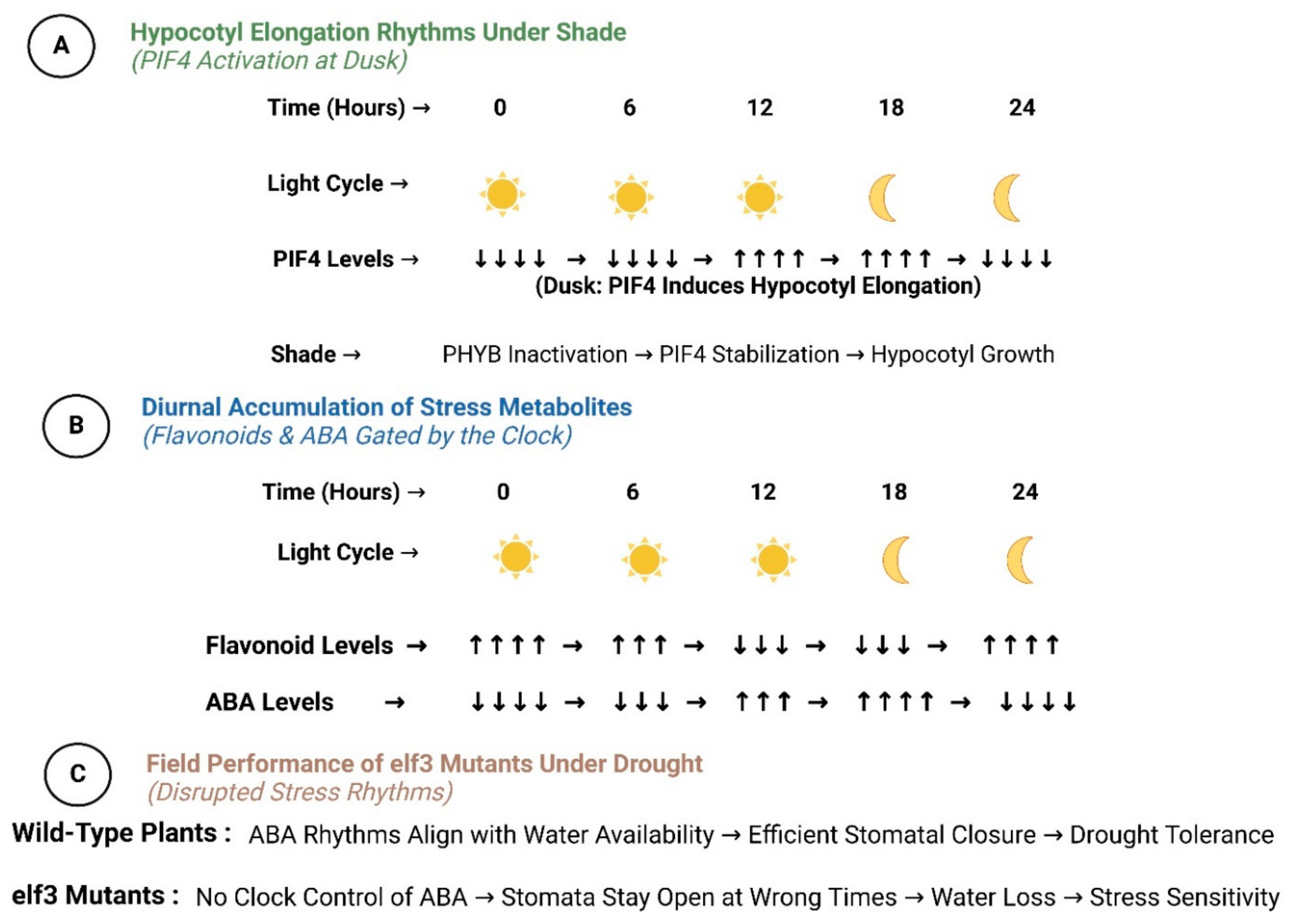 Biology 14 01375 g003 Biology 14 01375 g003