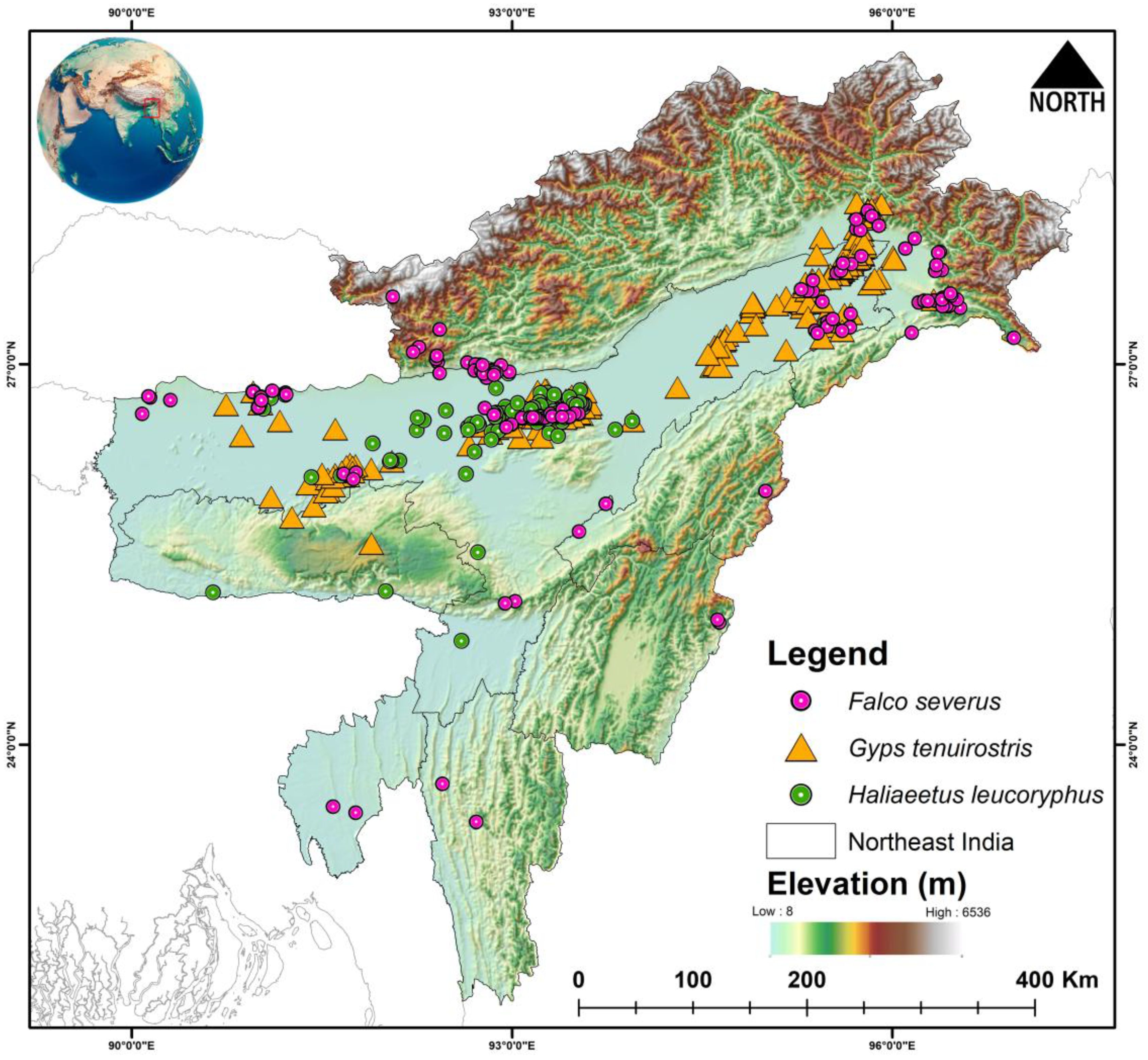 Biology 14 01376 g001 Biology 14 01376 g001