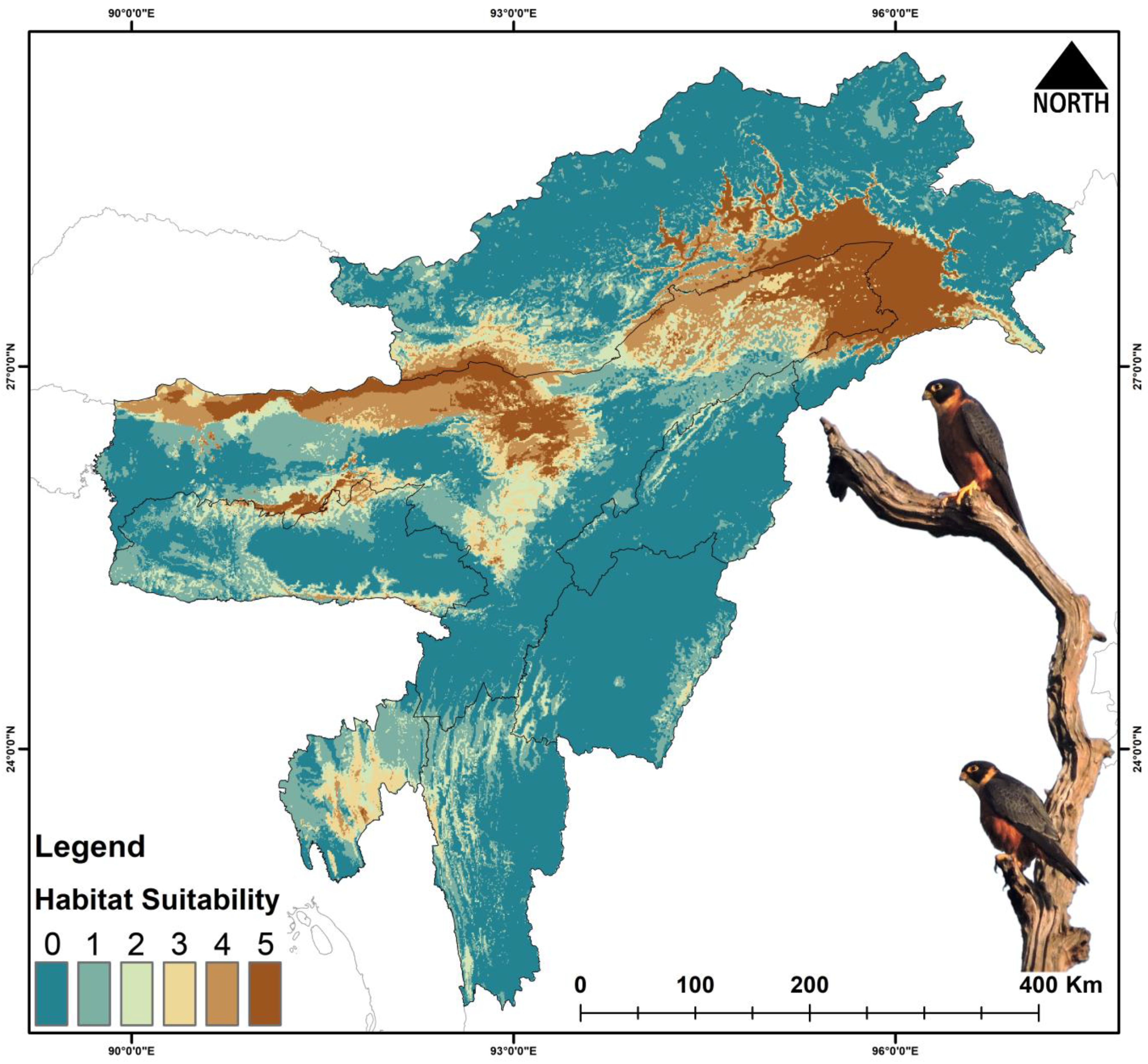 Biology 14 01376 g002 Biology 14 01376 g002