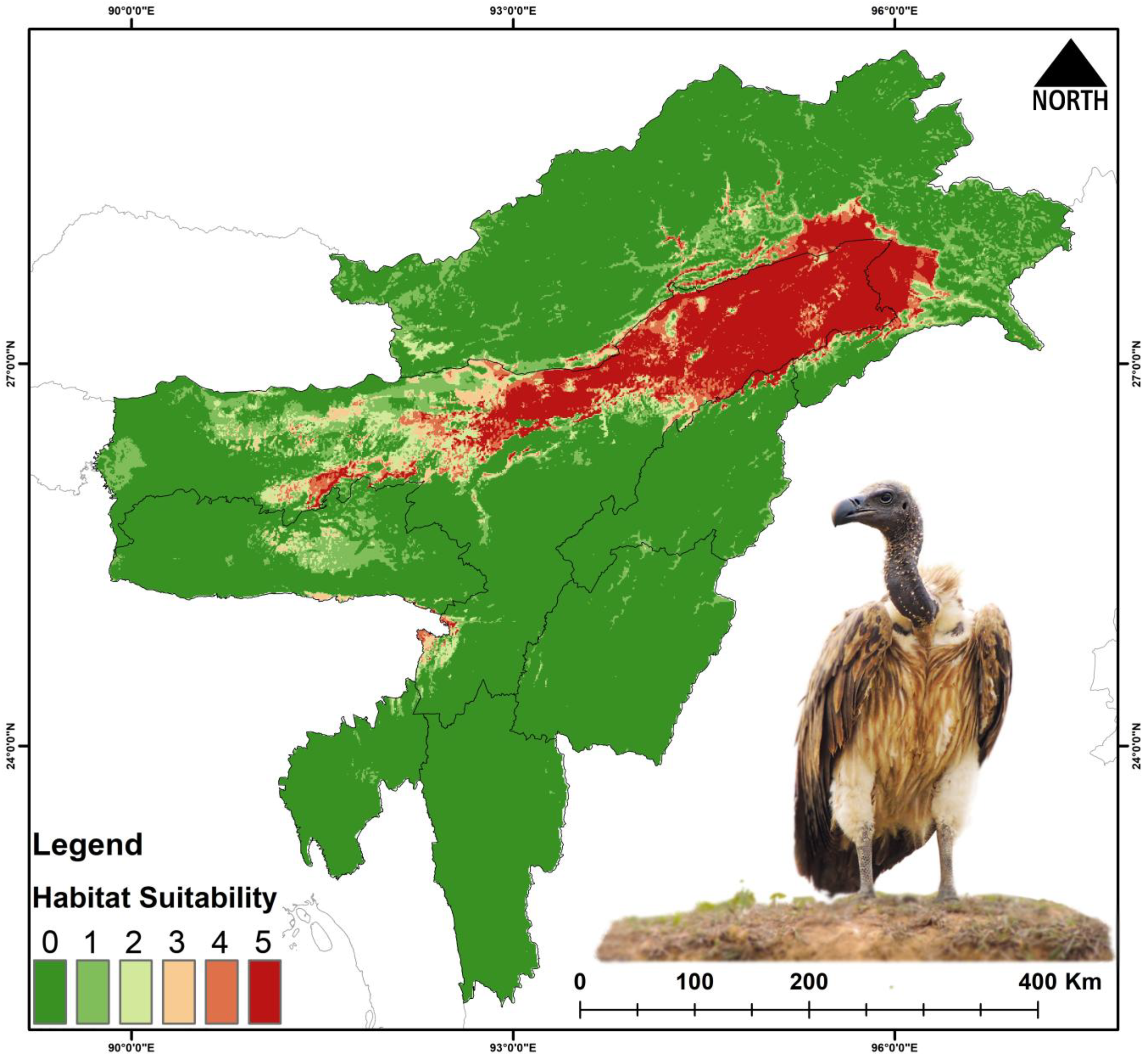 Biology 14 01376 g003 Biology 14 01376 g003