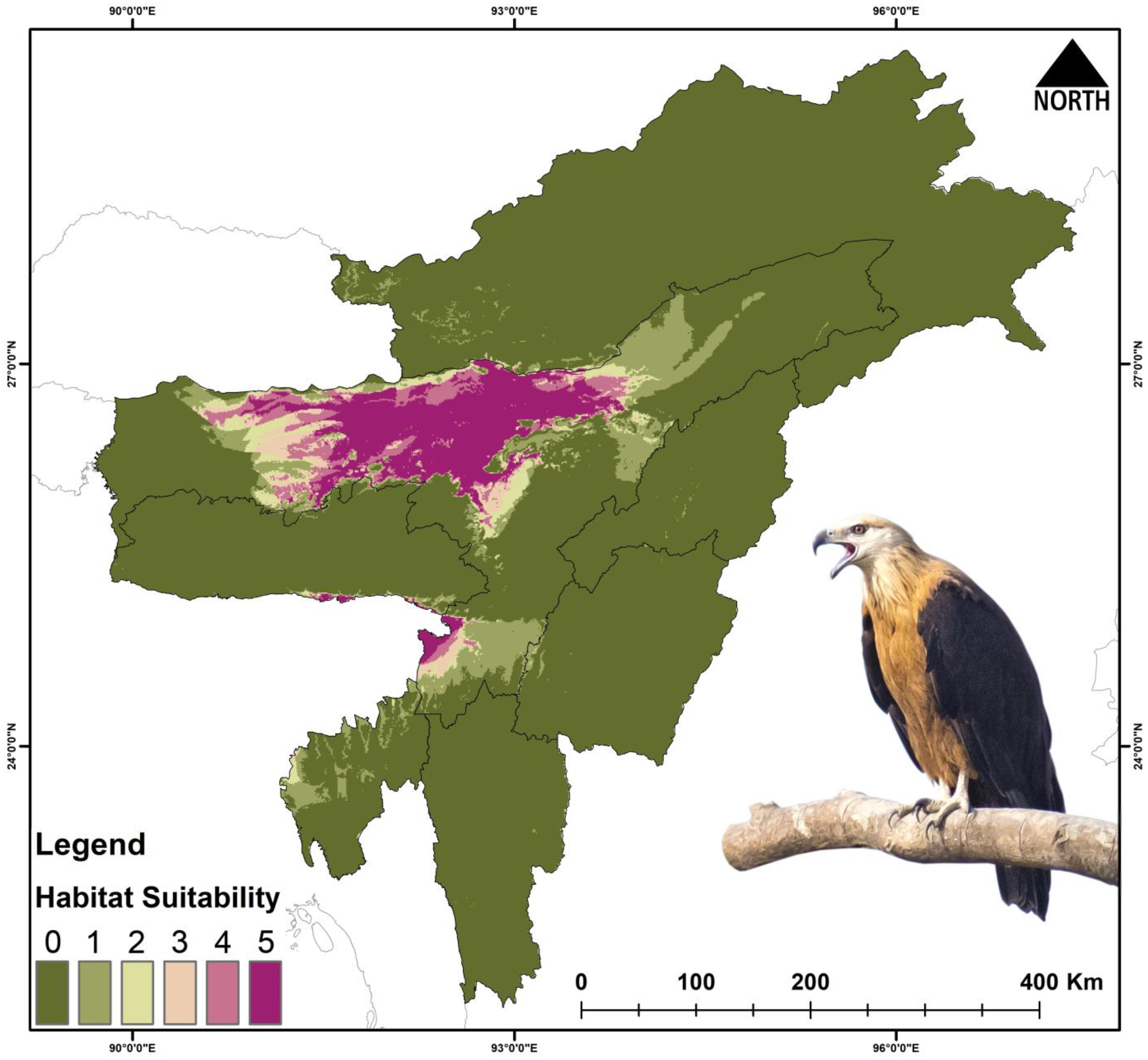 Biology 14 01376 g004 Biology 14 01376 g004