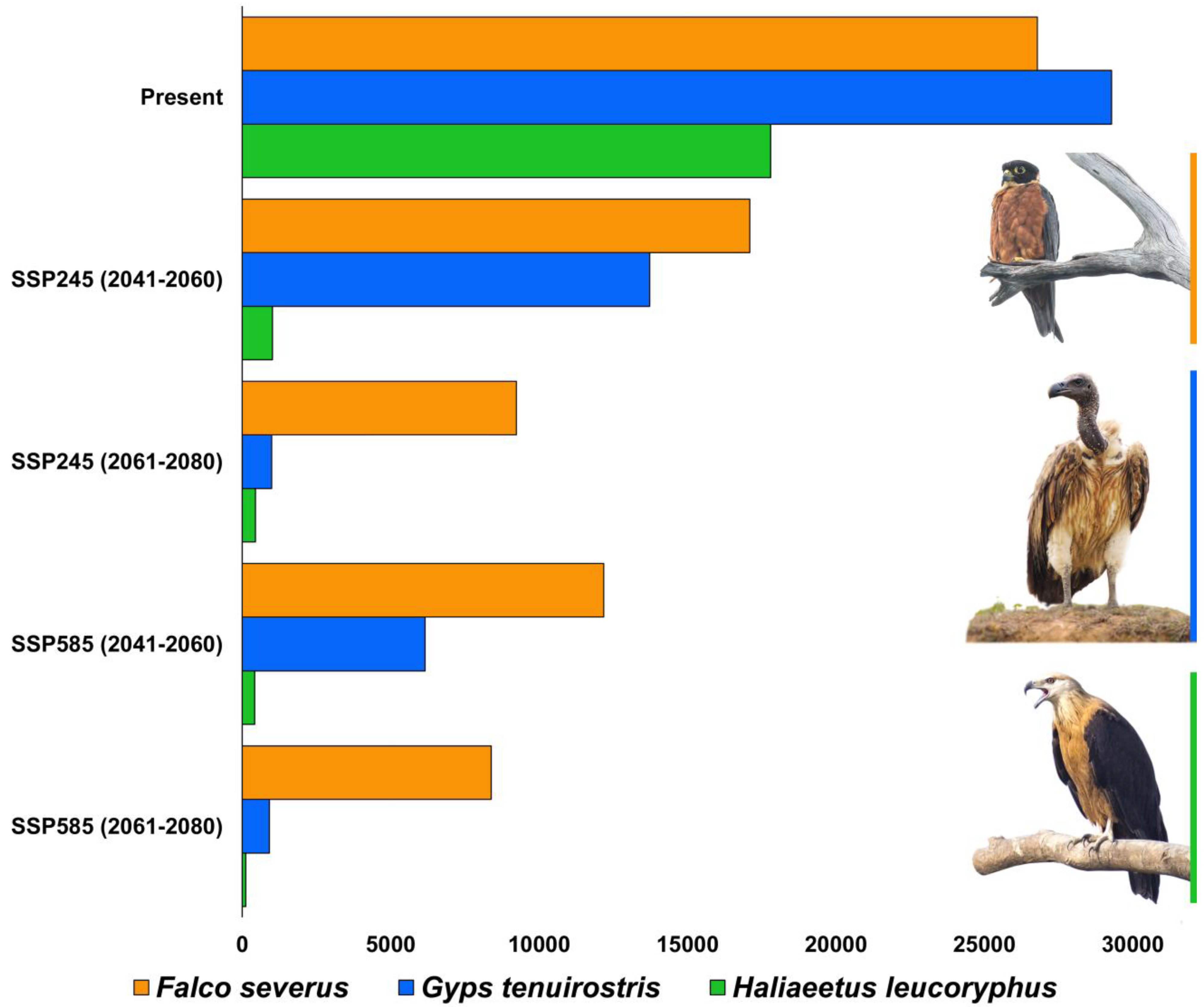 Biology 14 01376 g005 Biology 14 01376 g005
