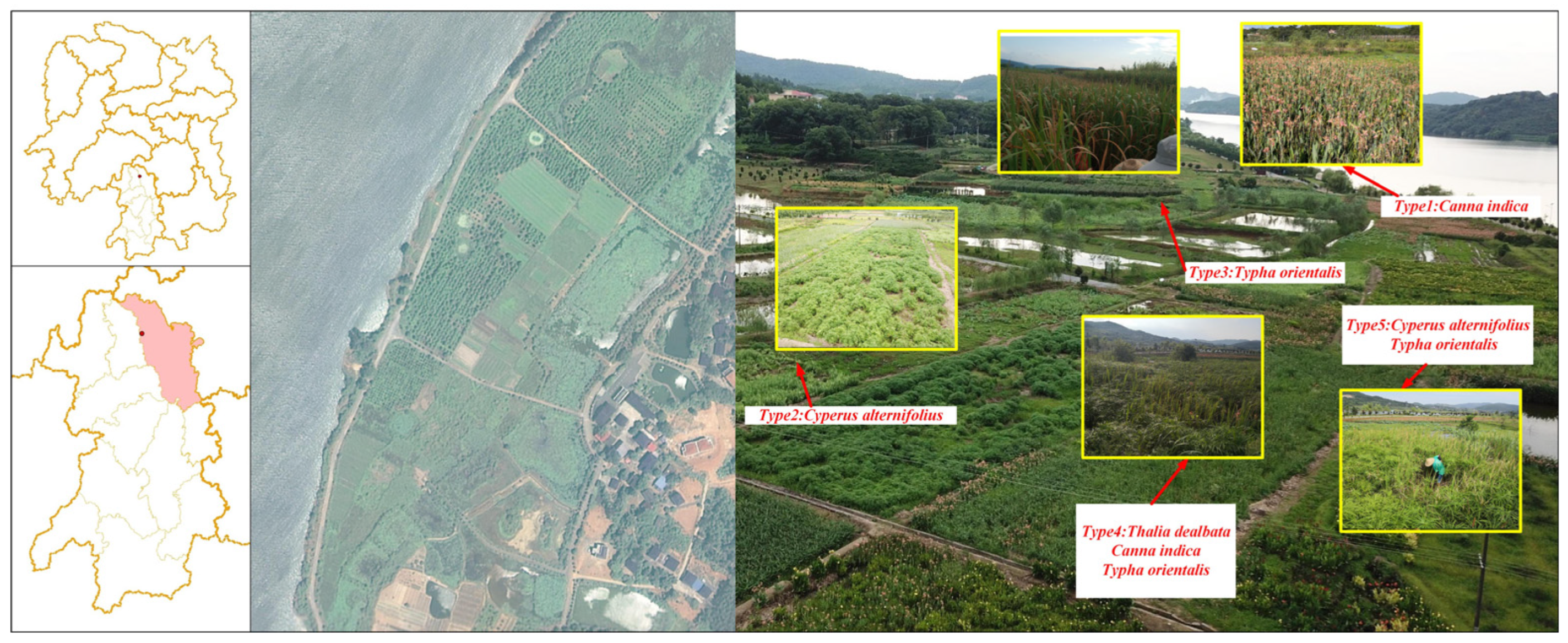 Biology 14 01378 g001 Biology 14 01378 g001