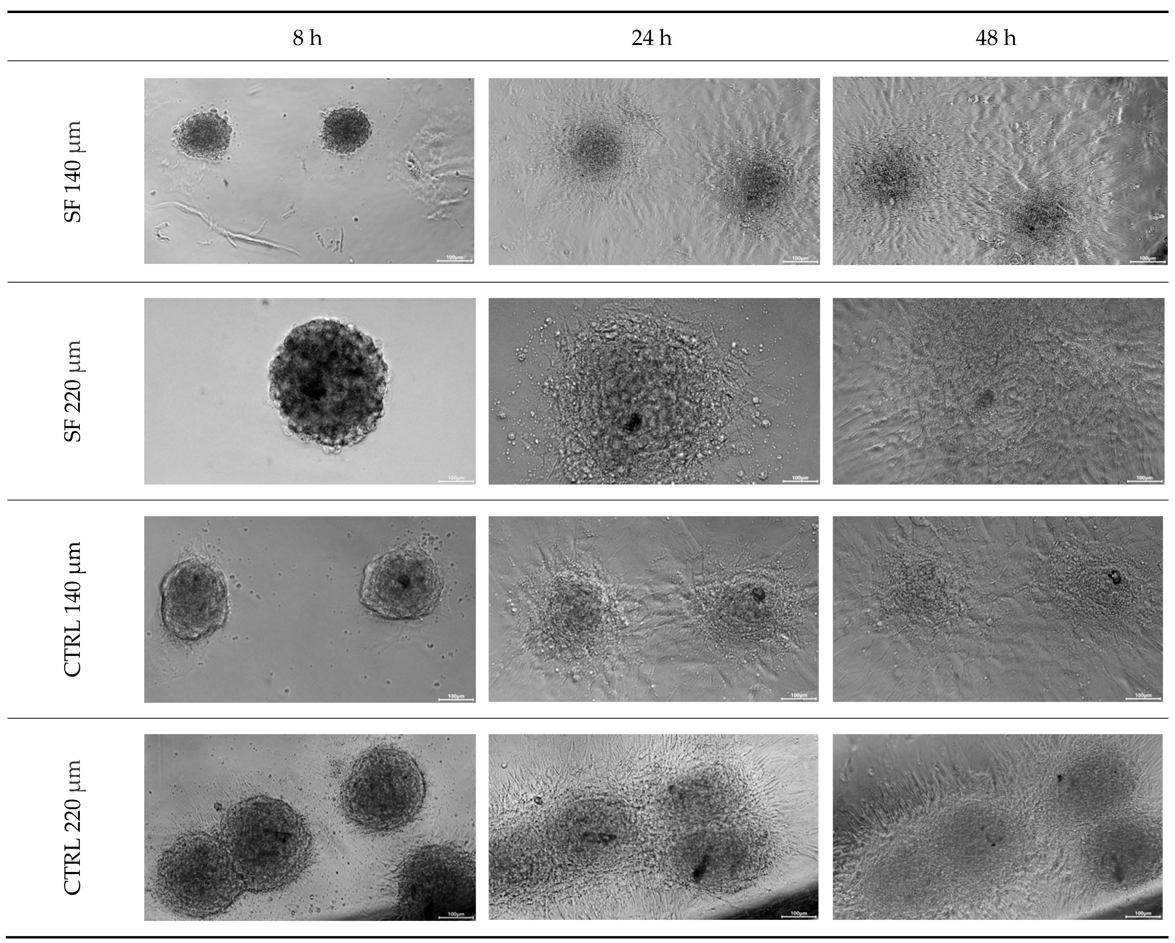 Biology 14 01381 g002