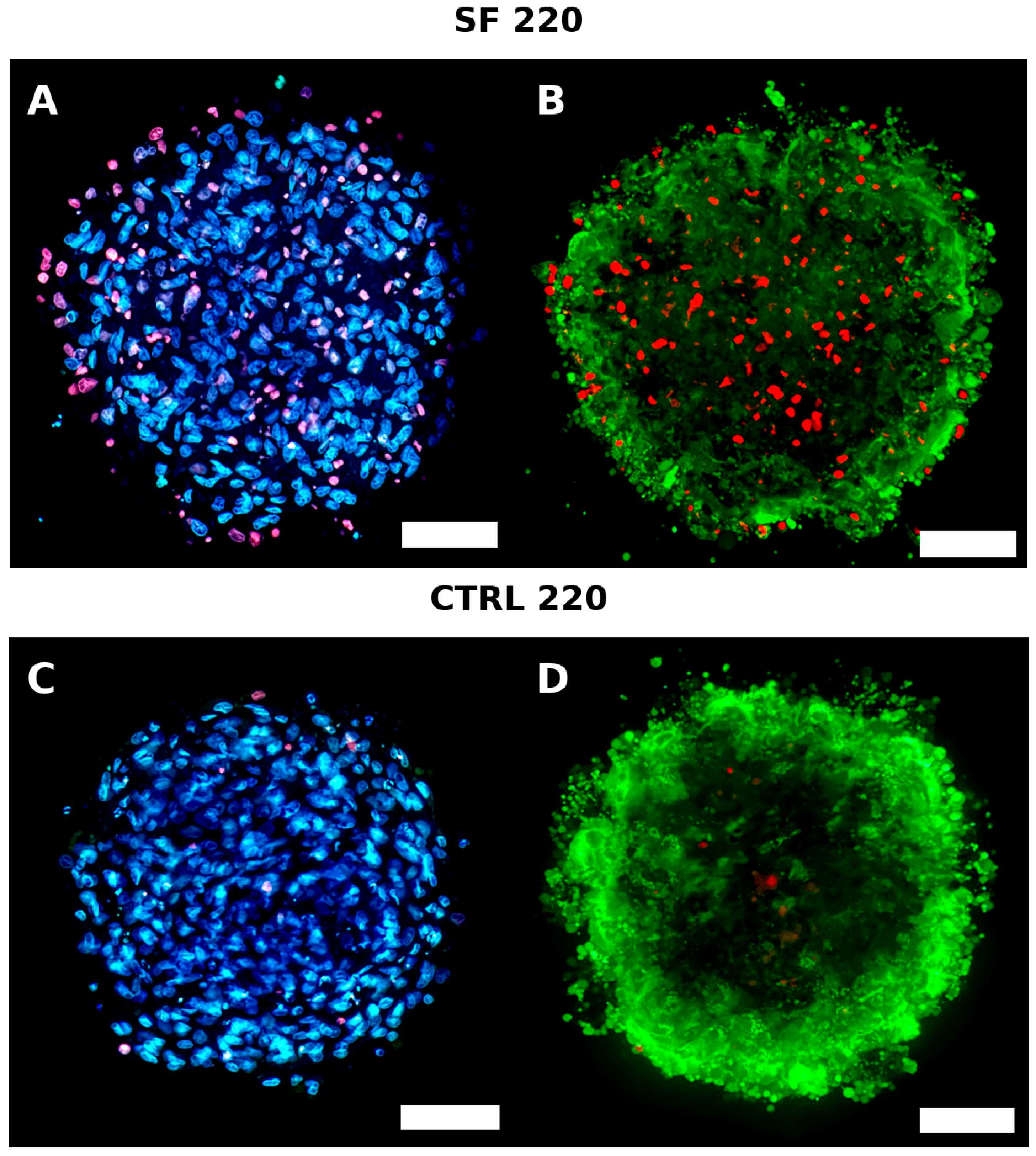 Biology 14 01381 g006a