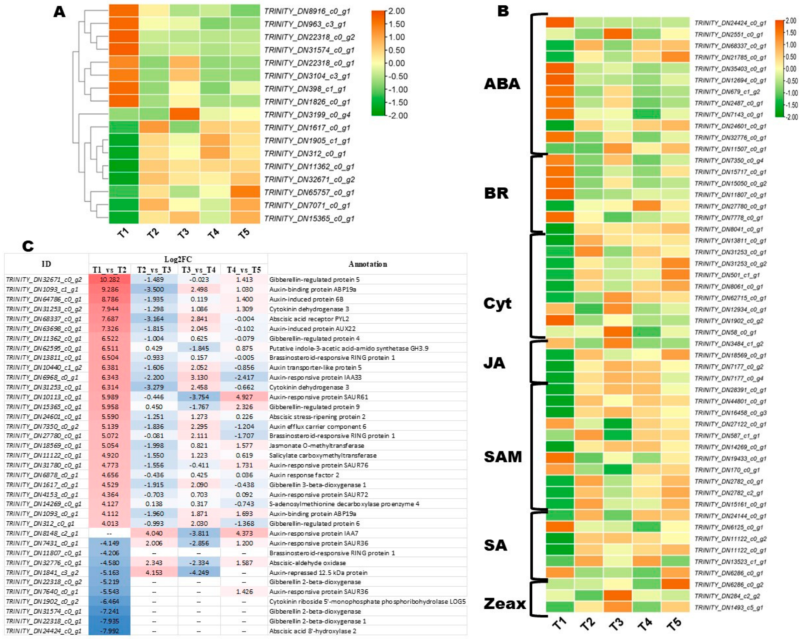 Biology 14 01383 g008