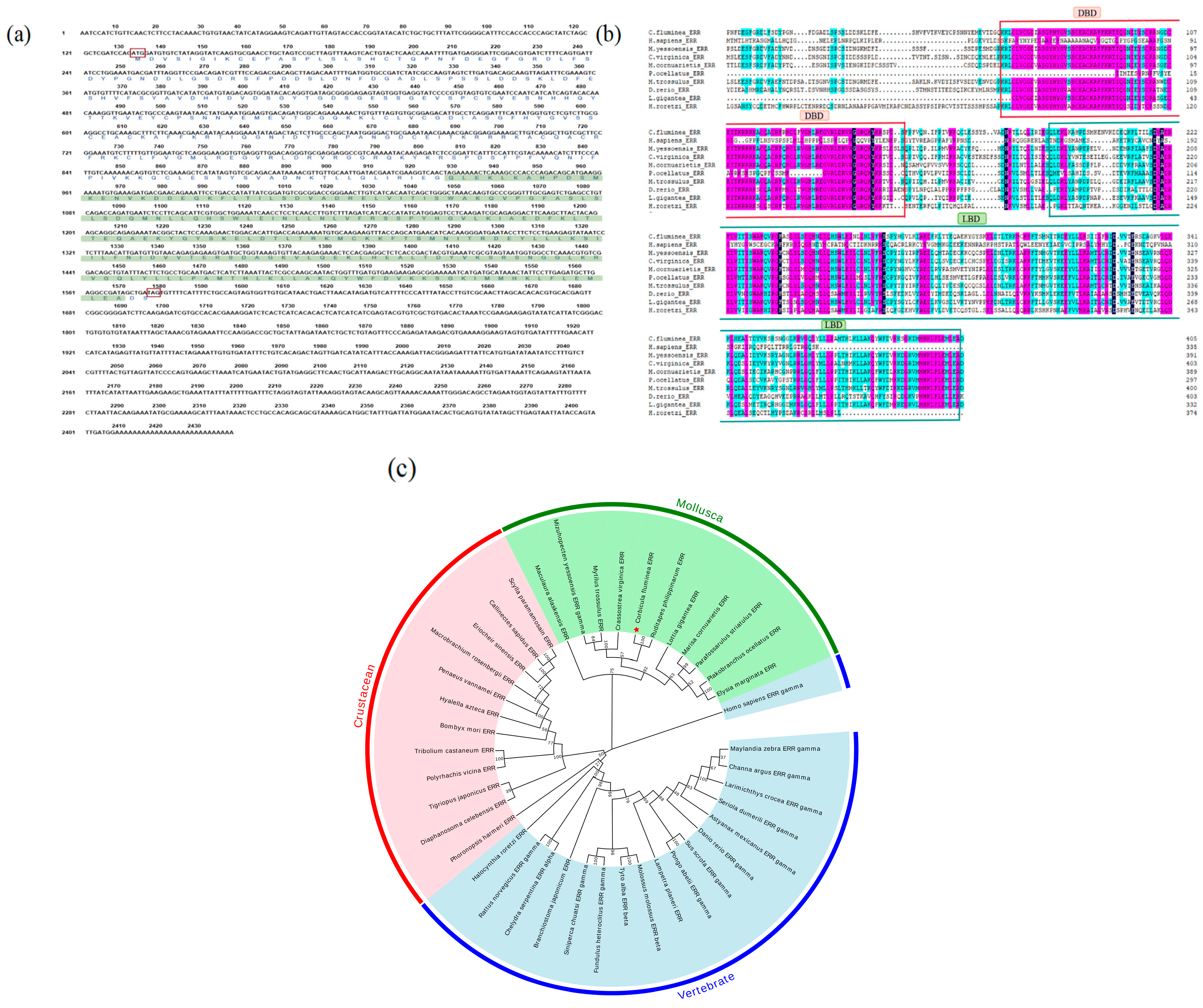 Biology 14 01384 g001