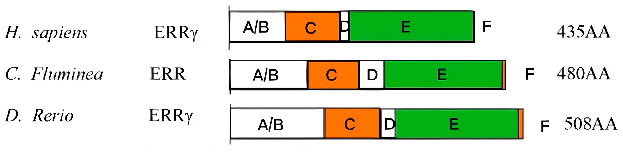 Biology 14 01384 g002
