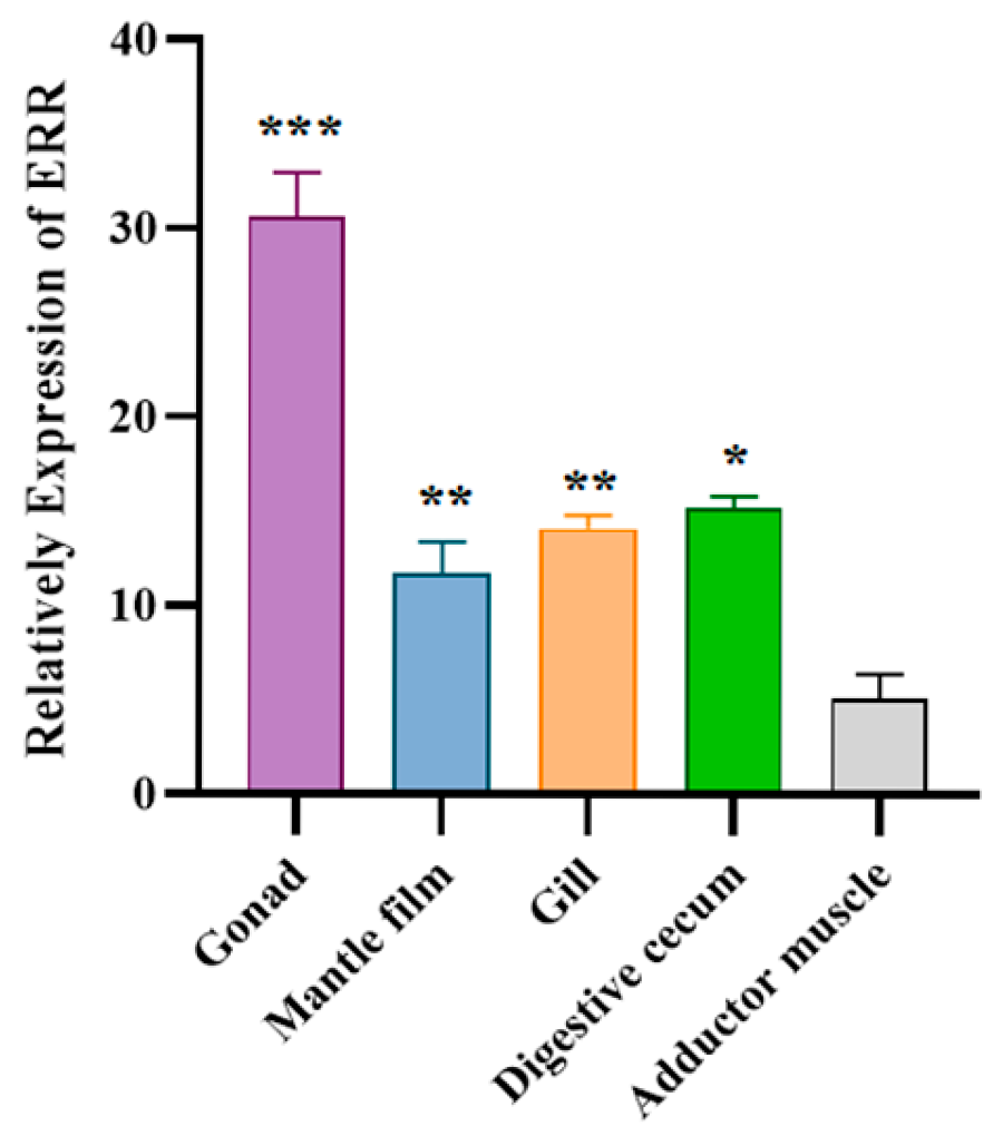 Biology 14 01384 g004