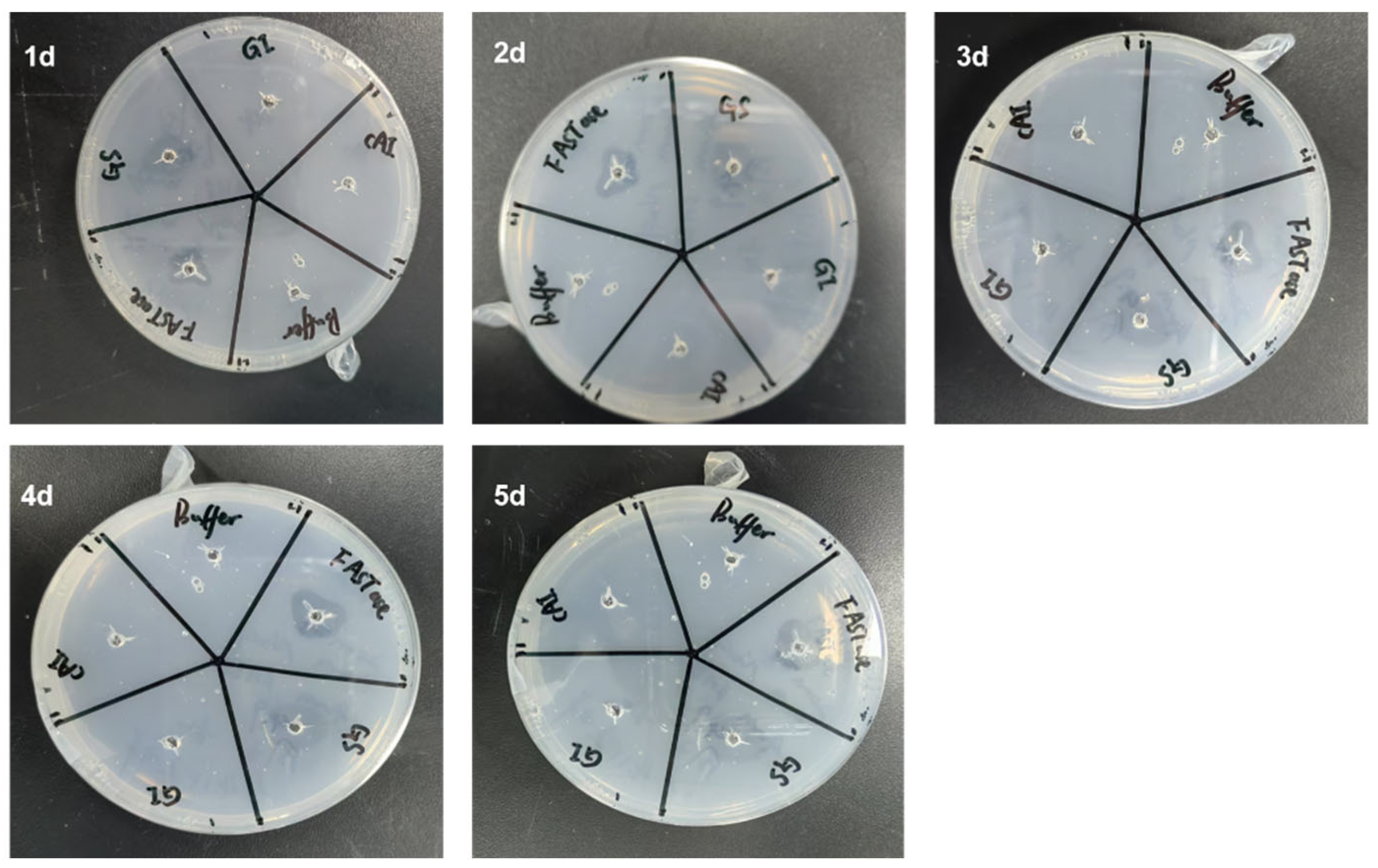 Biology 14 01387 g002