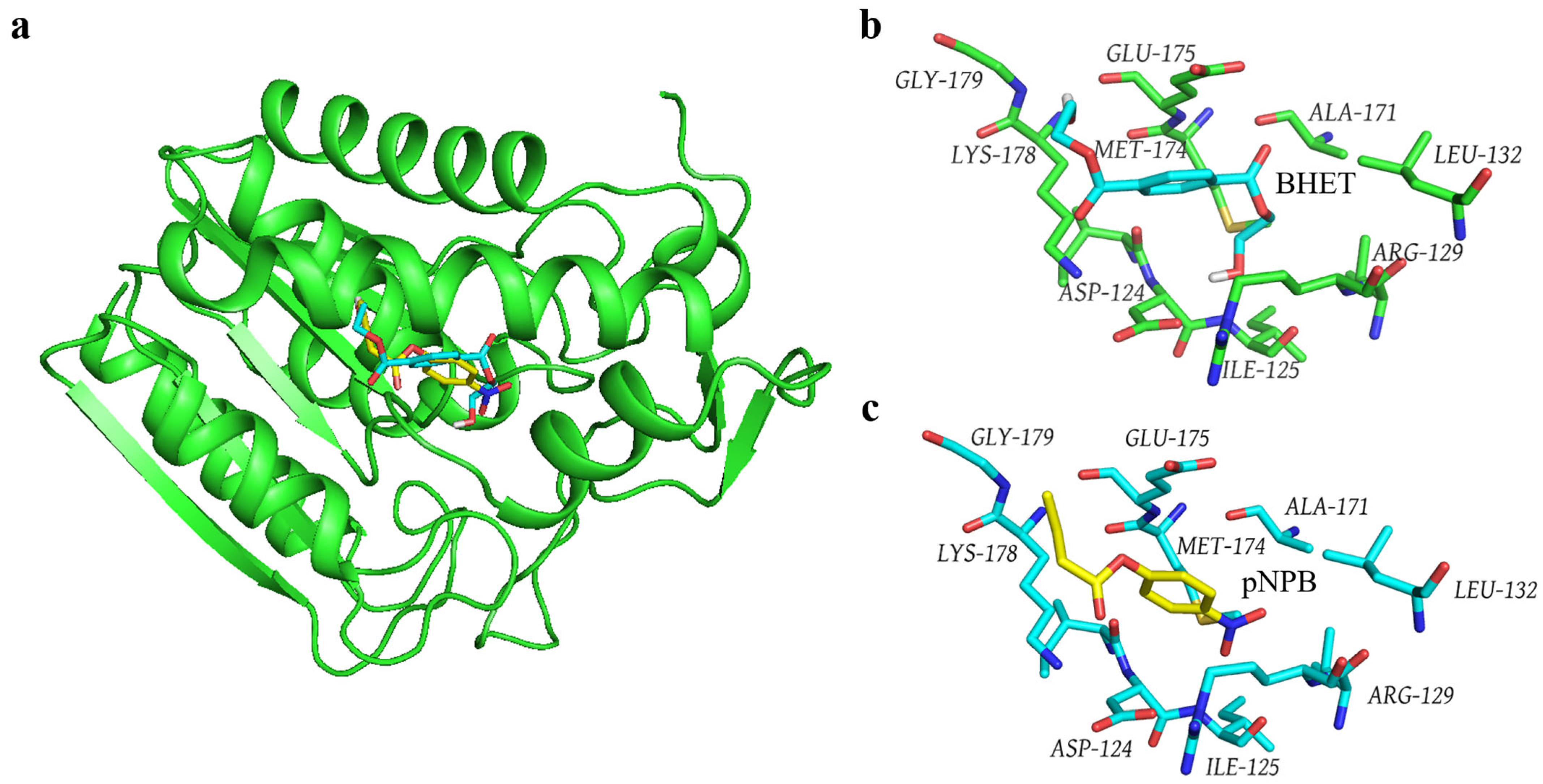 Biology 14 01387 g005