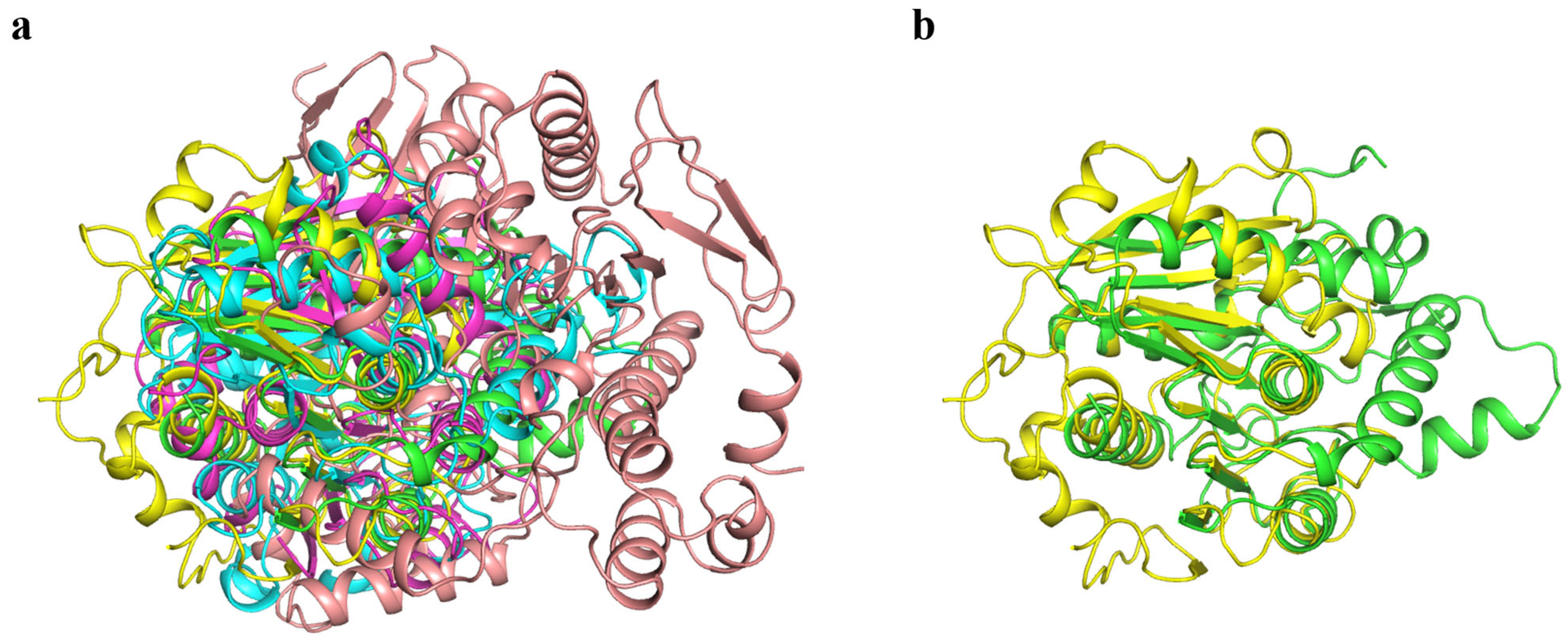 Biology 14 01387 g006