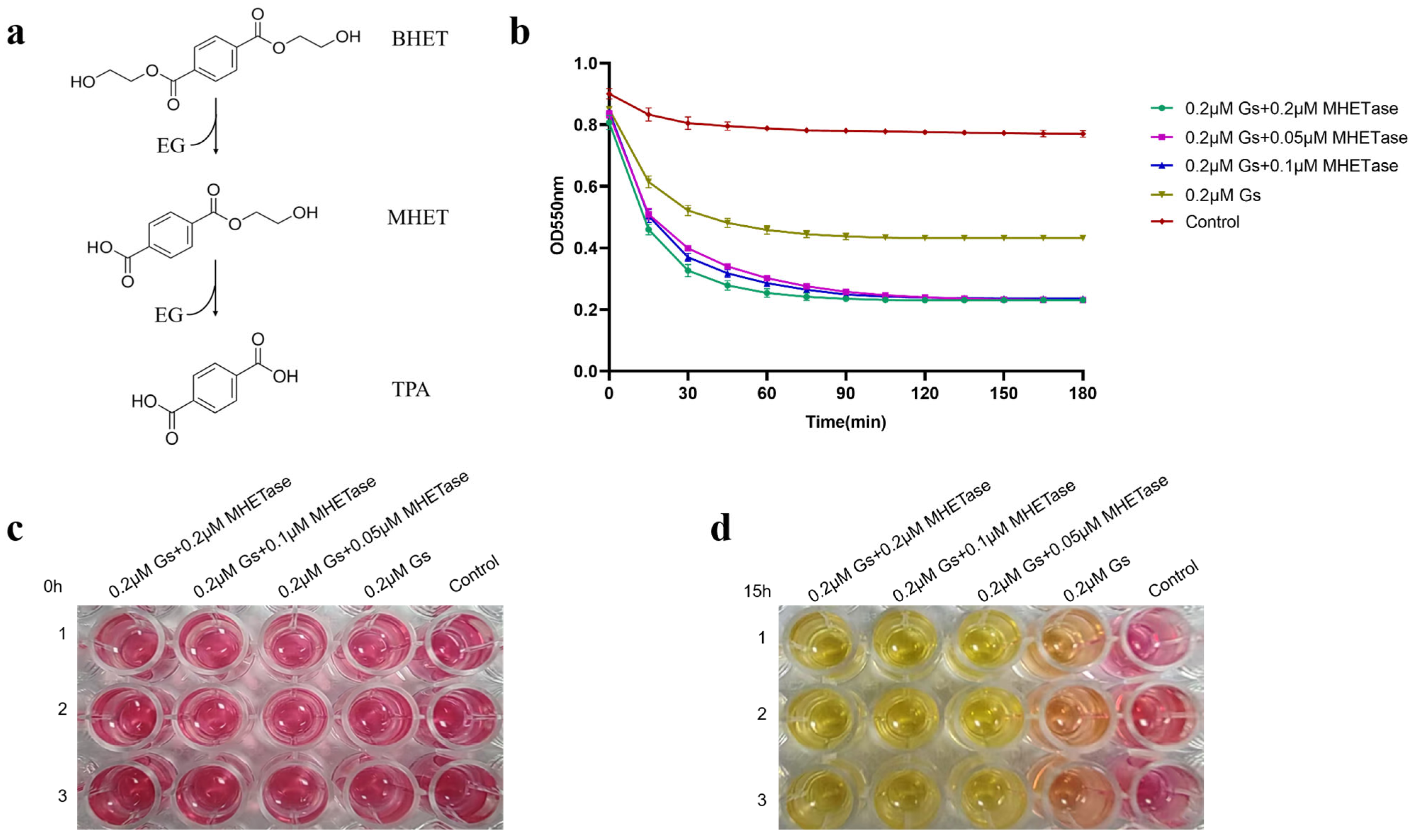 Biology 14 01387 g007