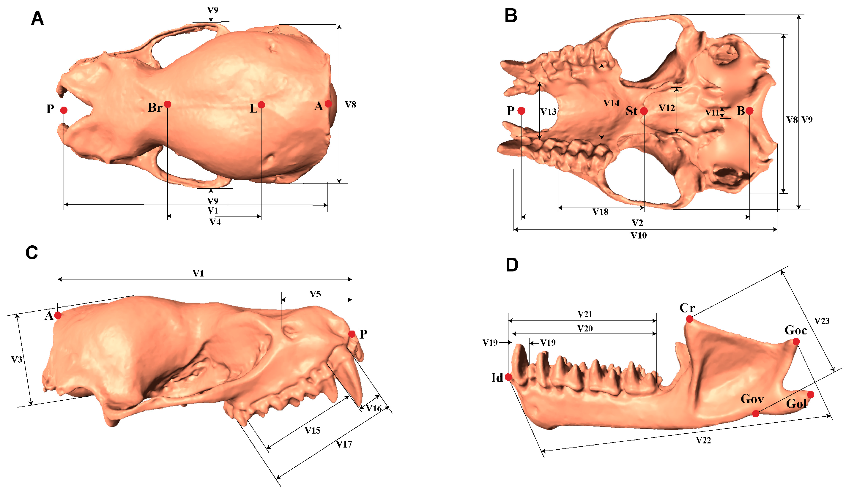 Biology 14 01389 g001