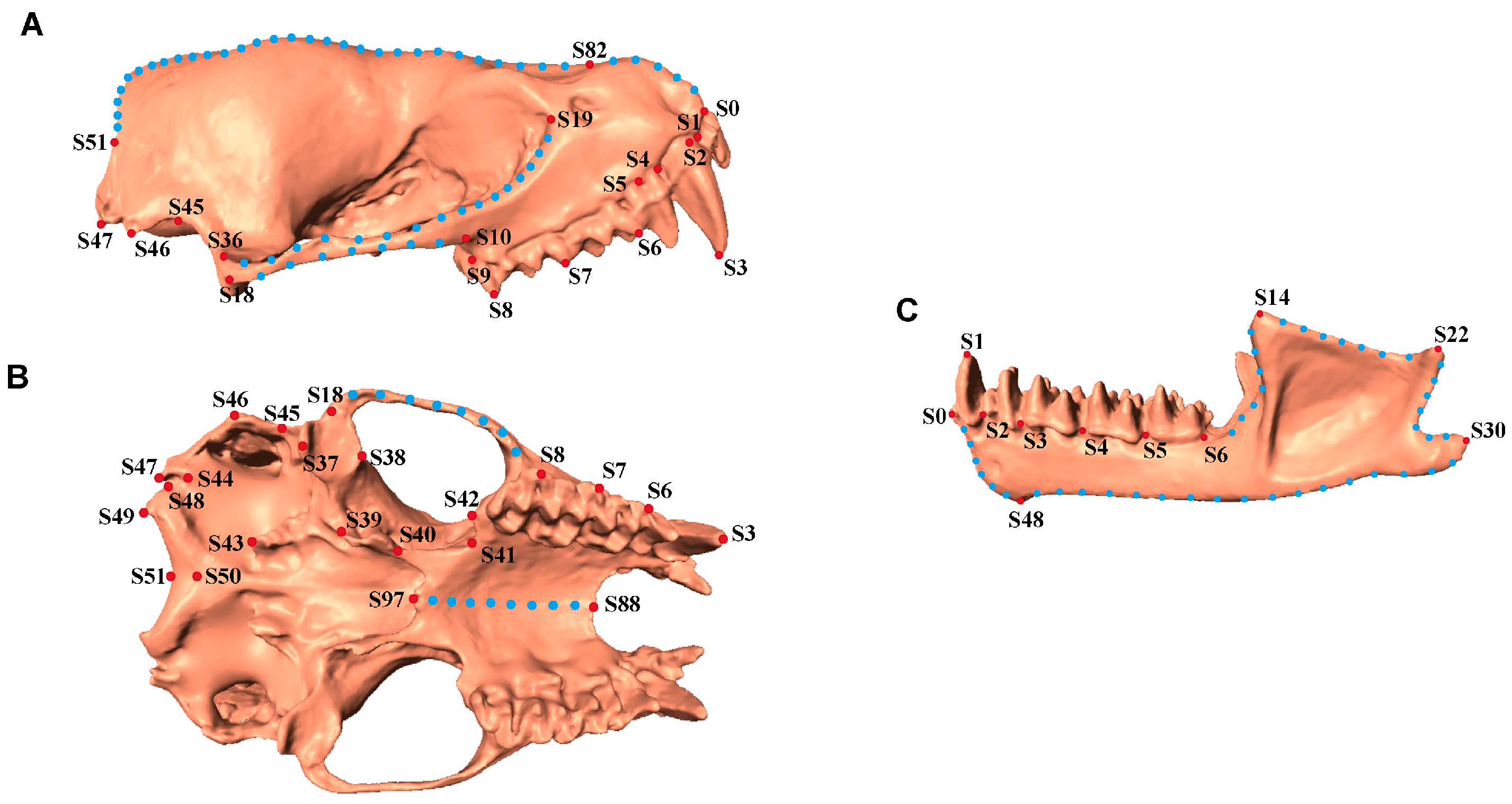 Biology 14 01389 g002