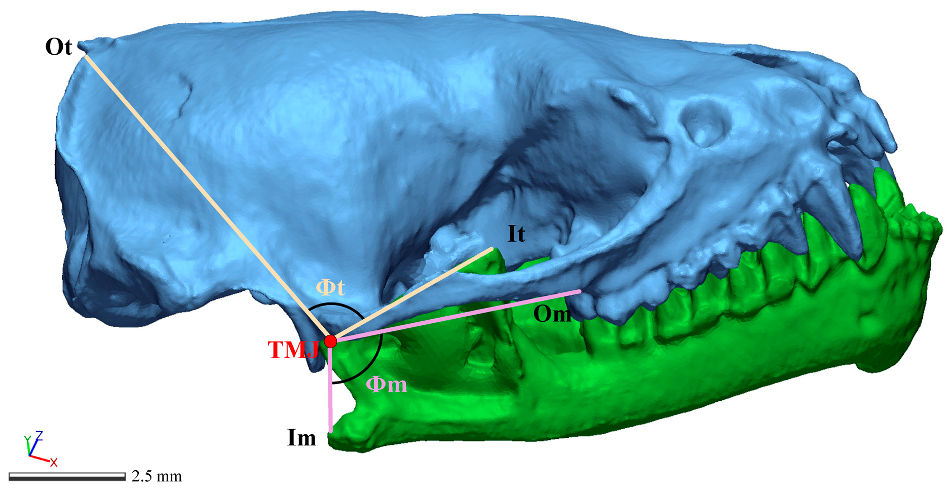 Biology 14 01389 g003