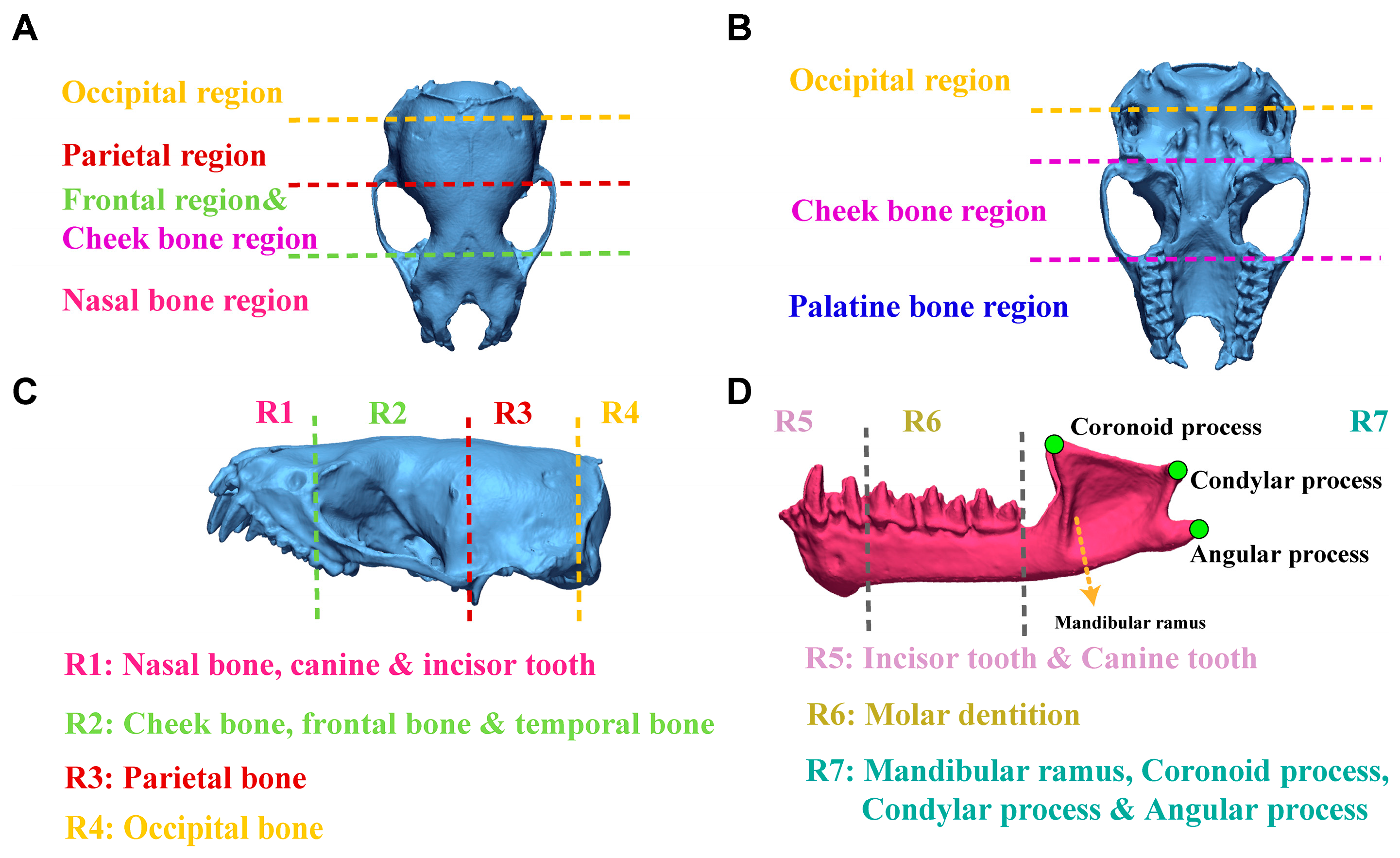 Biology 14 01389 g006