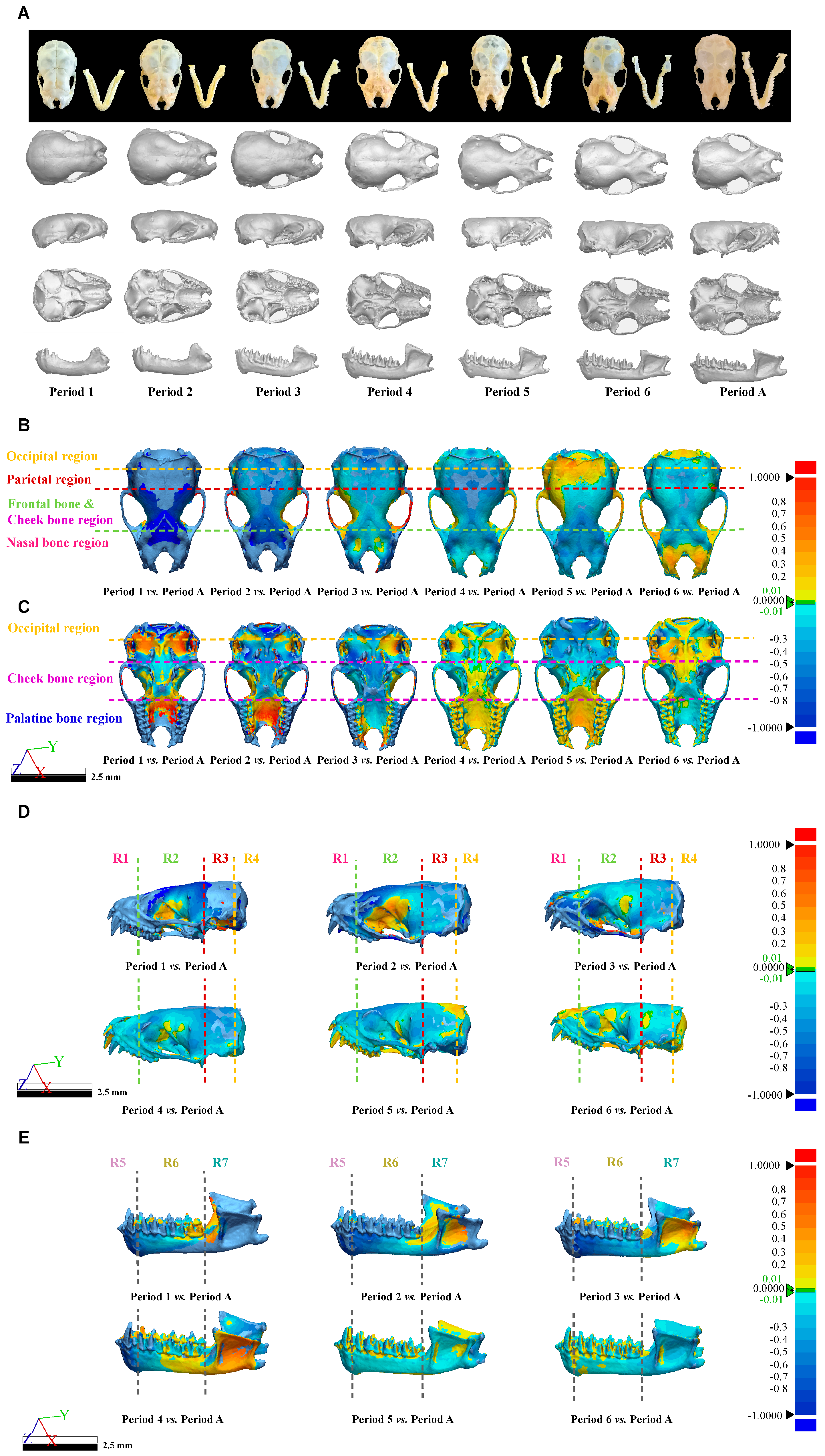 Biology 14 01389 g007