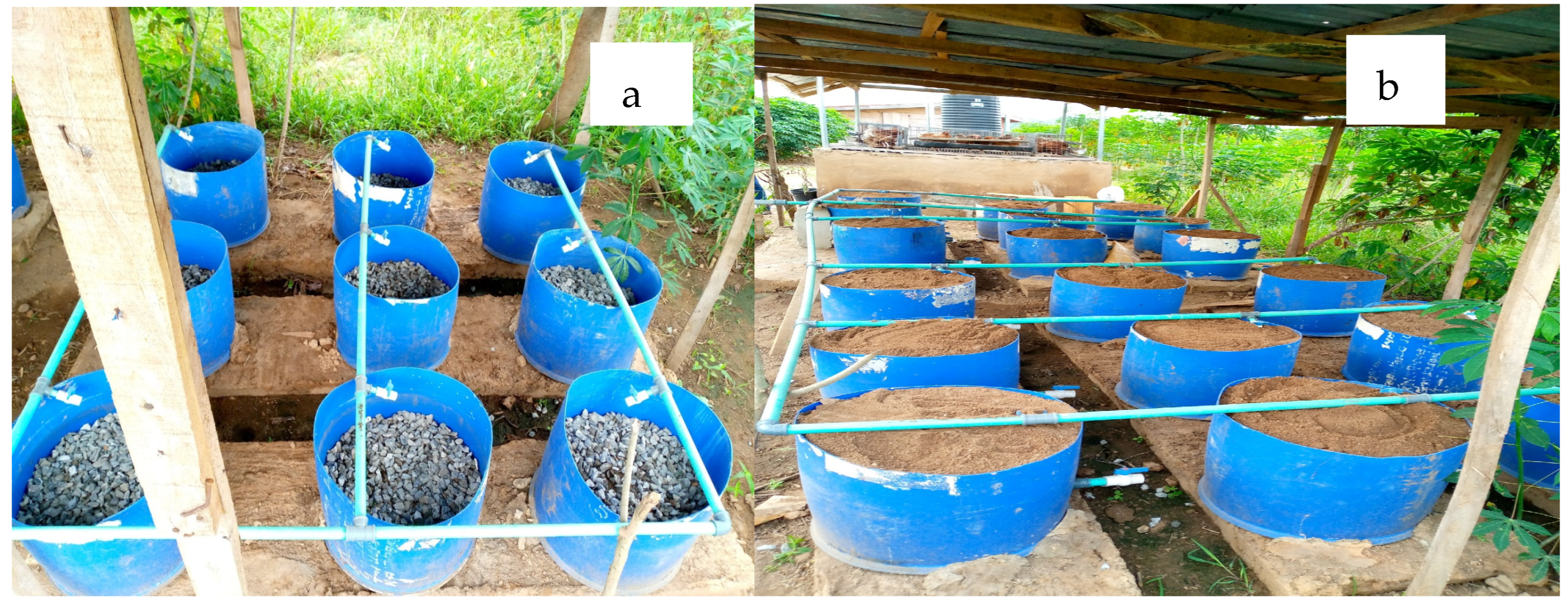 Biology 14 01390 g001 Biology 14 01390 g001